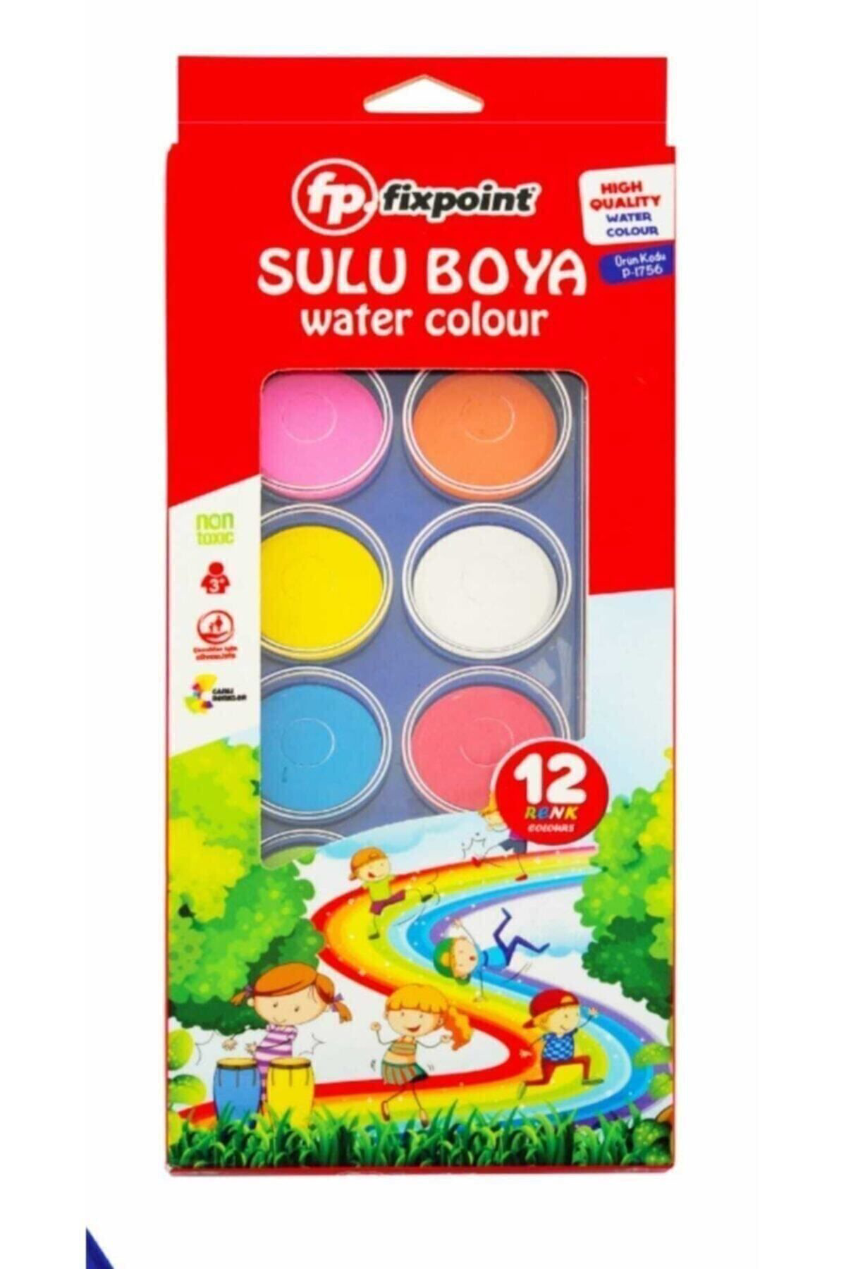 Fixpoint 12 Renk Sulu Boya