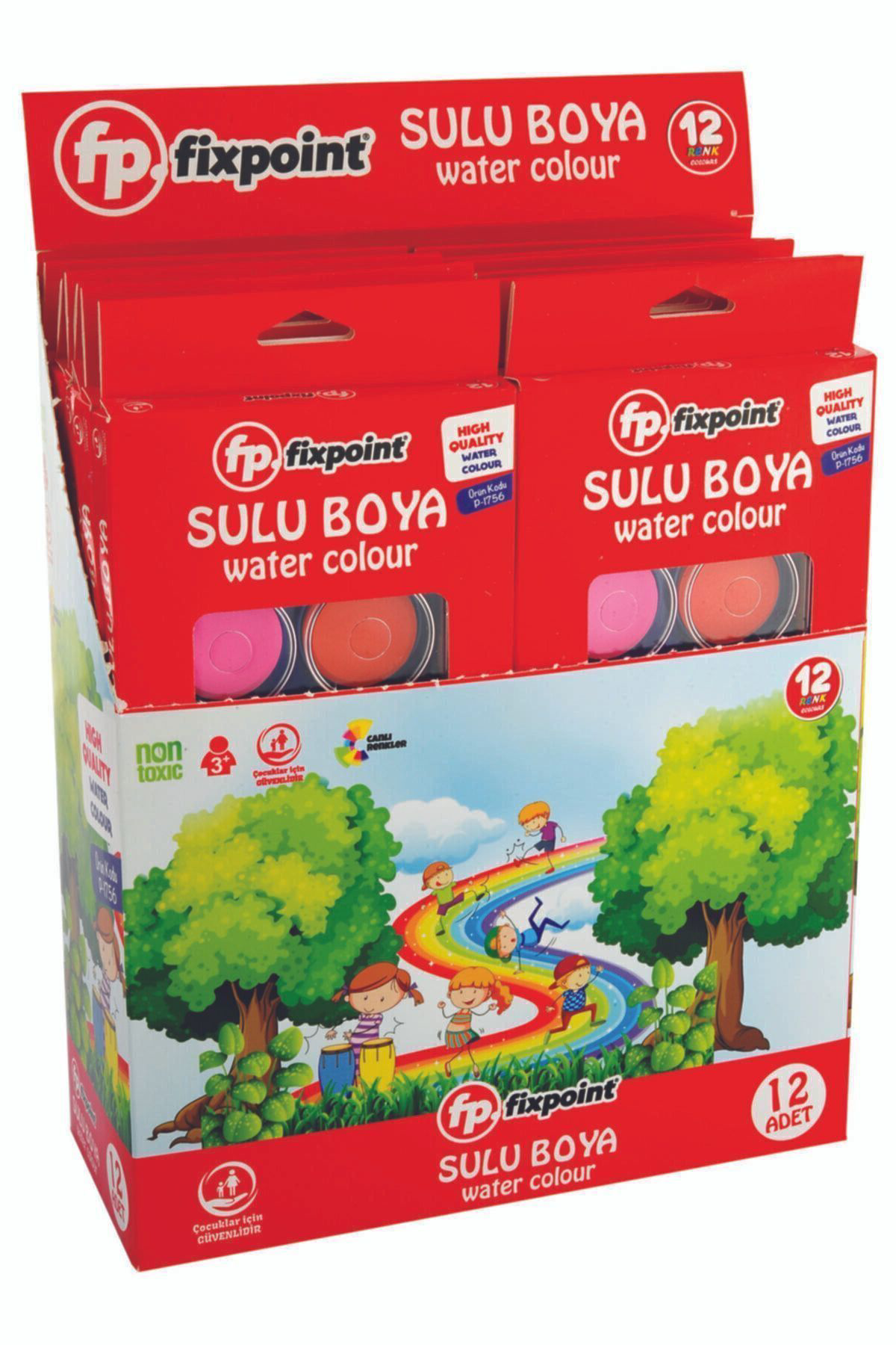 Fixpoint 12 Renk Sulu Boya