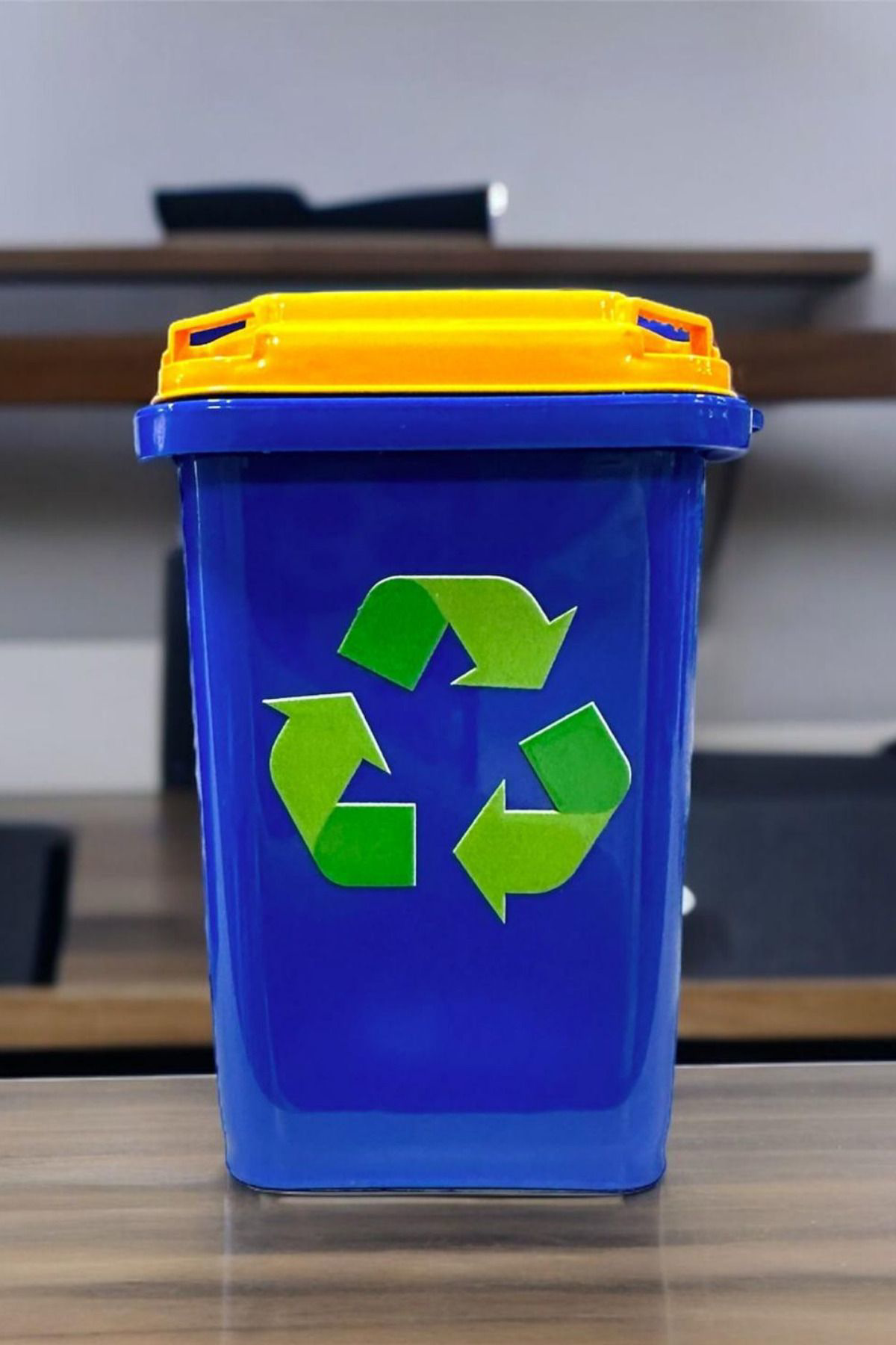 Woody Sofia 2 Adet Kalemlik Çöp Kutusu Şeklinde Kapakli Ofis Masa Aksesuar Ma