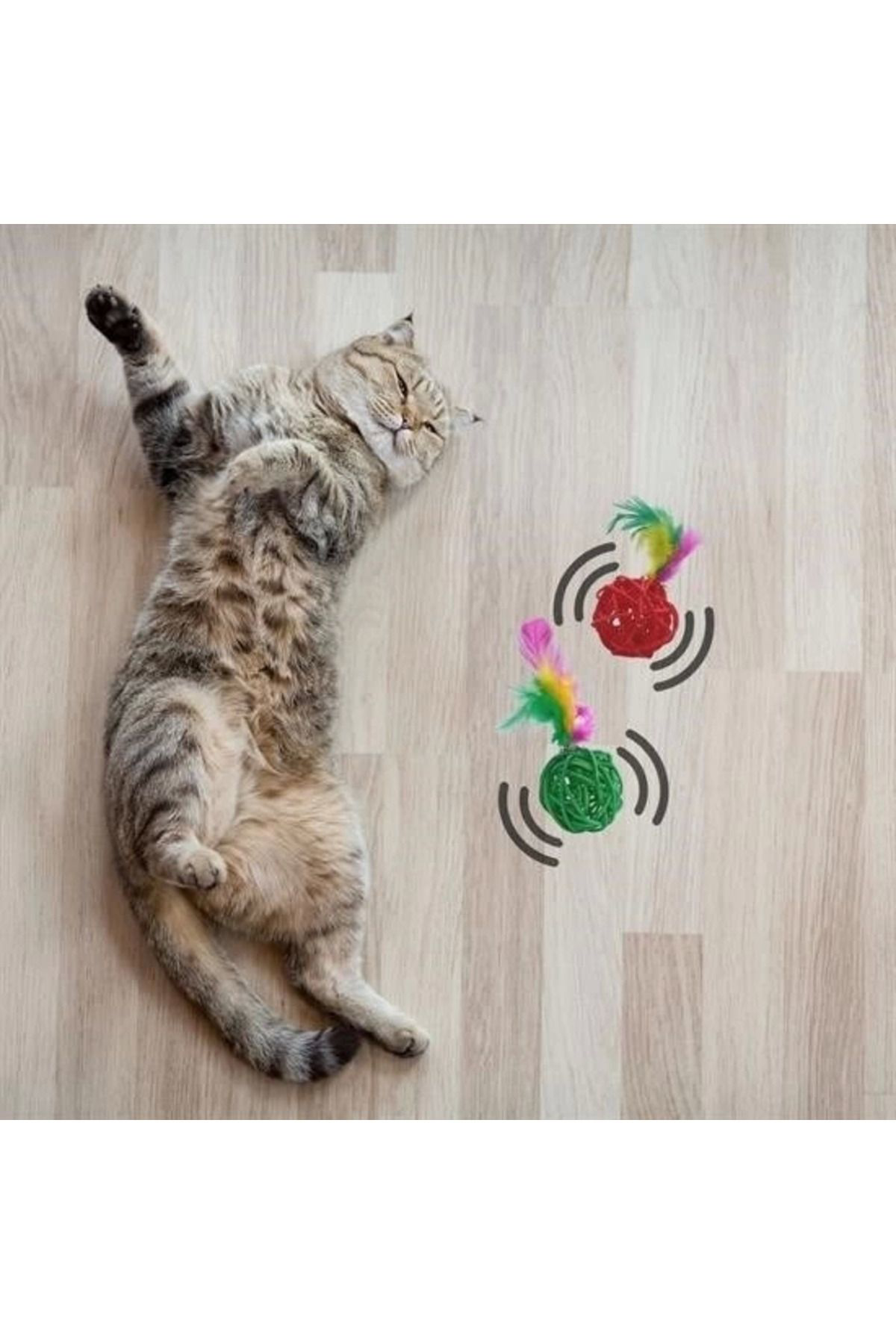 Yusuftex 2Li Rattan Renkli Peluş Tüy Kedi Köpek Oyuncak Yakalama Çiğneme Ç