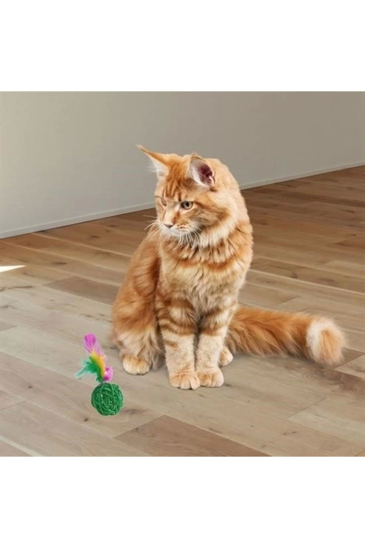 Yusuftex 2Li Rattan Renkli Peluş Tüy Kedi Köpek Oyuncak Yakalama Çiğneme Ç