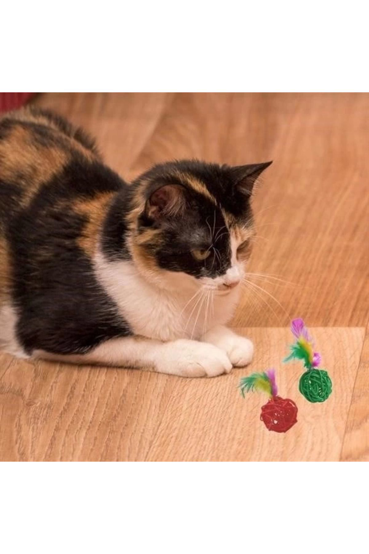 Yusuftex 2Li Rattan Renkli Peluş Tüy Kedi Köpek Oyuncak Yakalama Çiğneme Ç