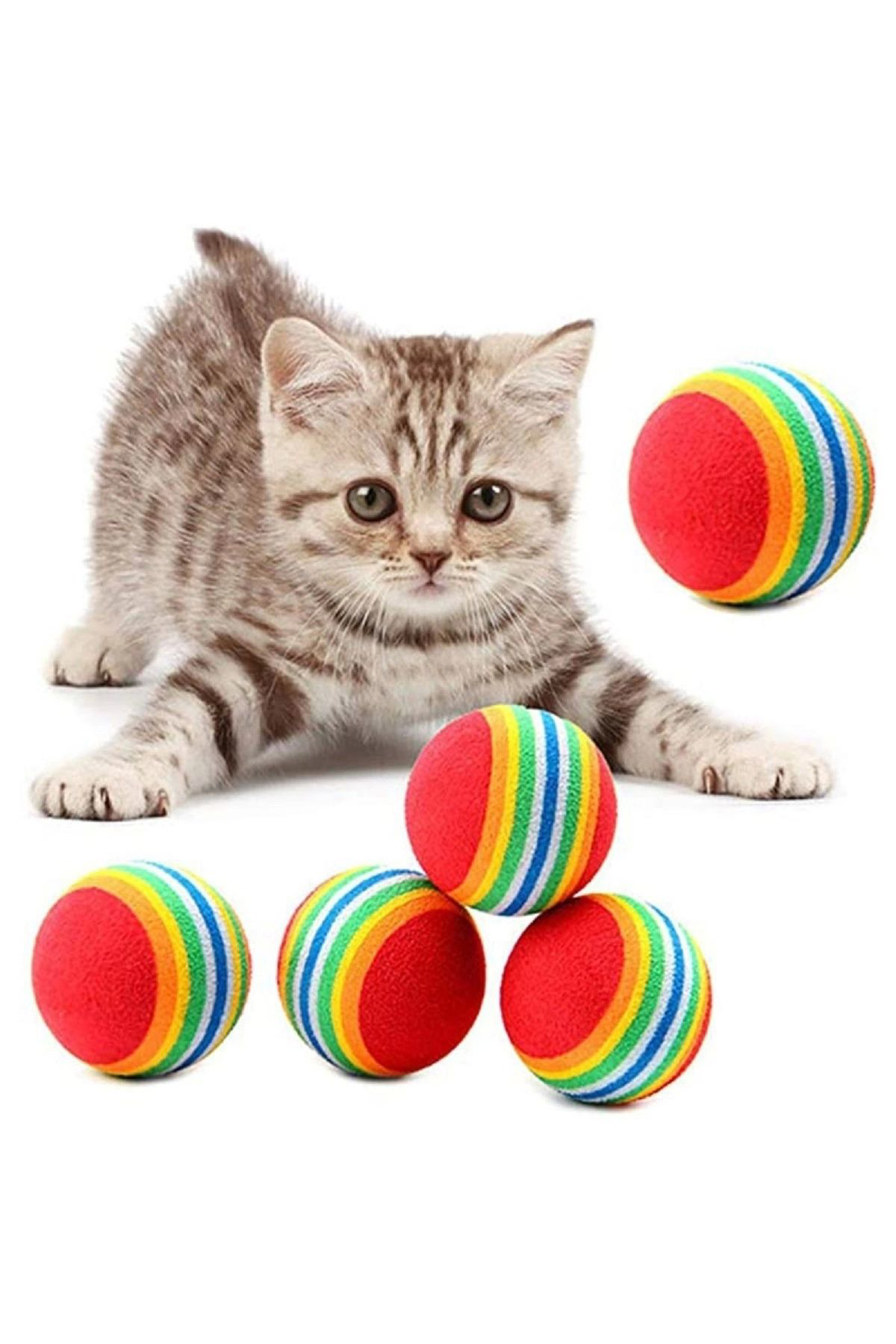 Asonic 3Lü Gökkuşaği Sünger Kedi Köpek Çiğneme Oyun Topu 42 Cm (4767)
