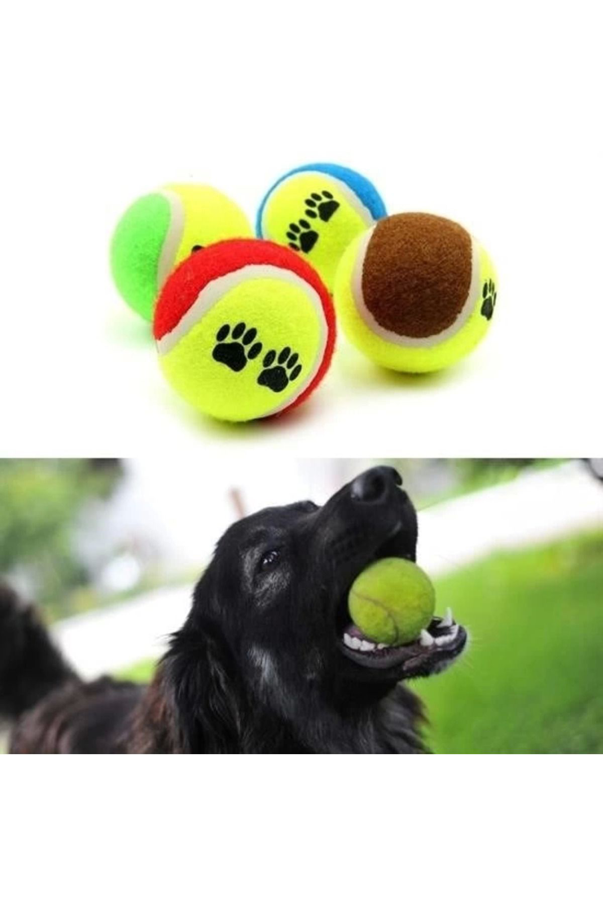 Yusuftex 3Lü Renkli Desenli Tenis Topu Kedi Köpek Oyuncaği