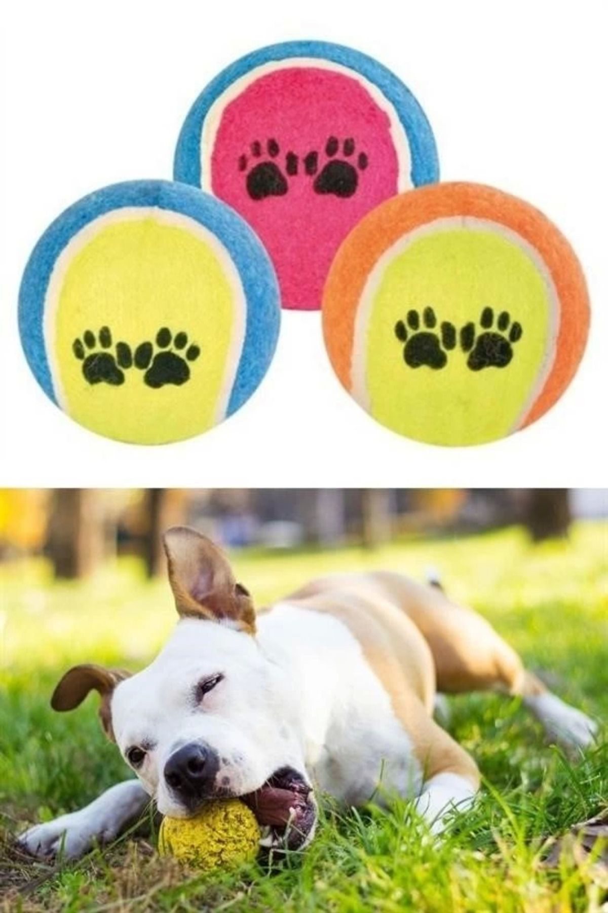Yusuftex 3Lü Renkli Desenli Tenis Topu Kedi Köpek Oyuncaği