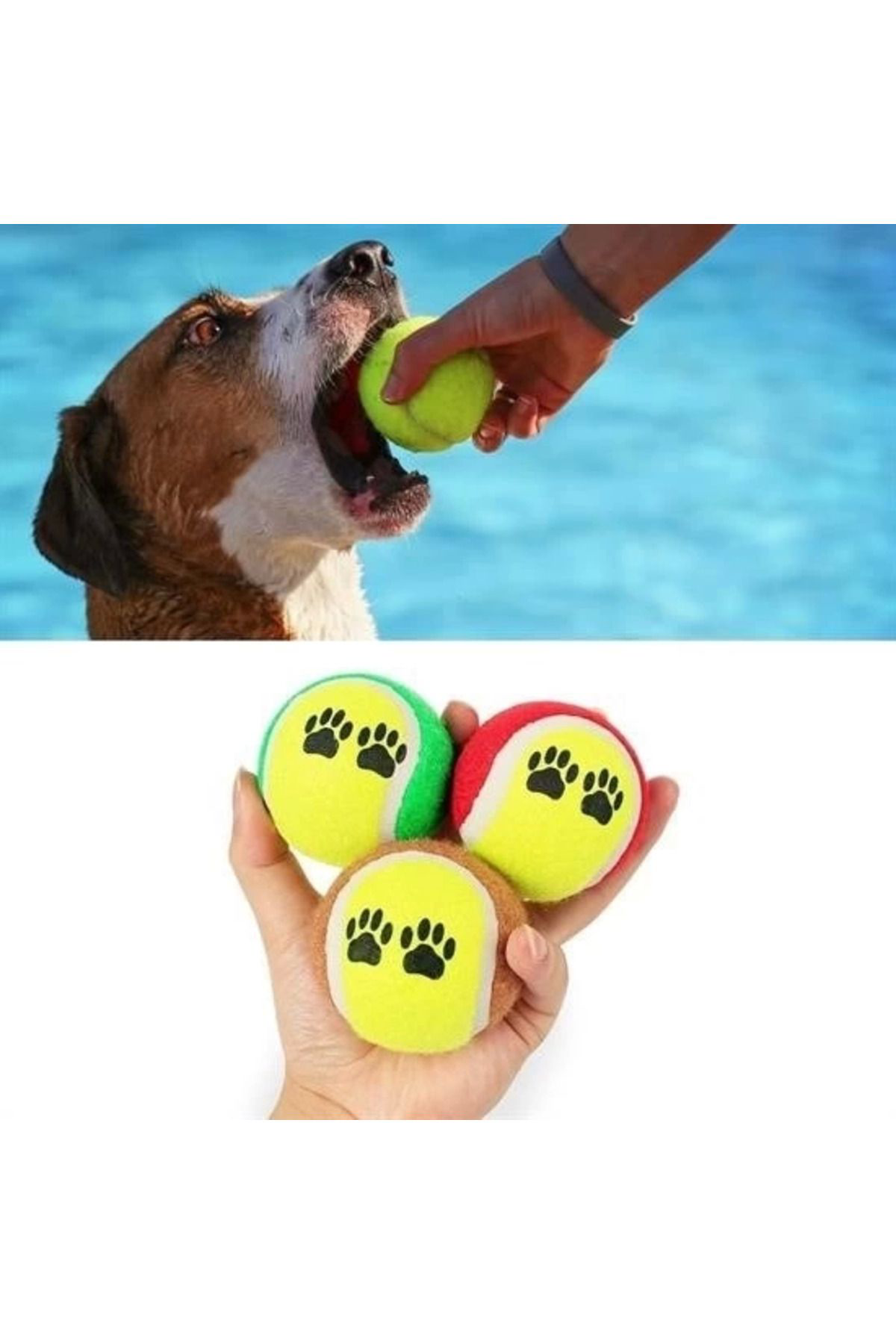 Yusuftex 3Lü Renkli Desenli Tenis Topu Kedi Köpek Oyuncaği
