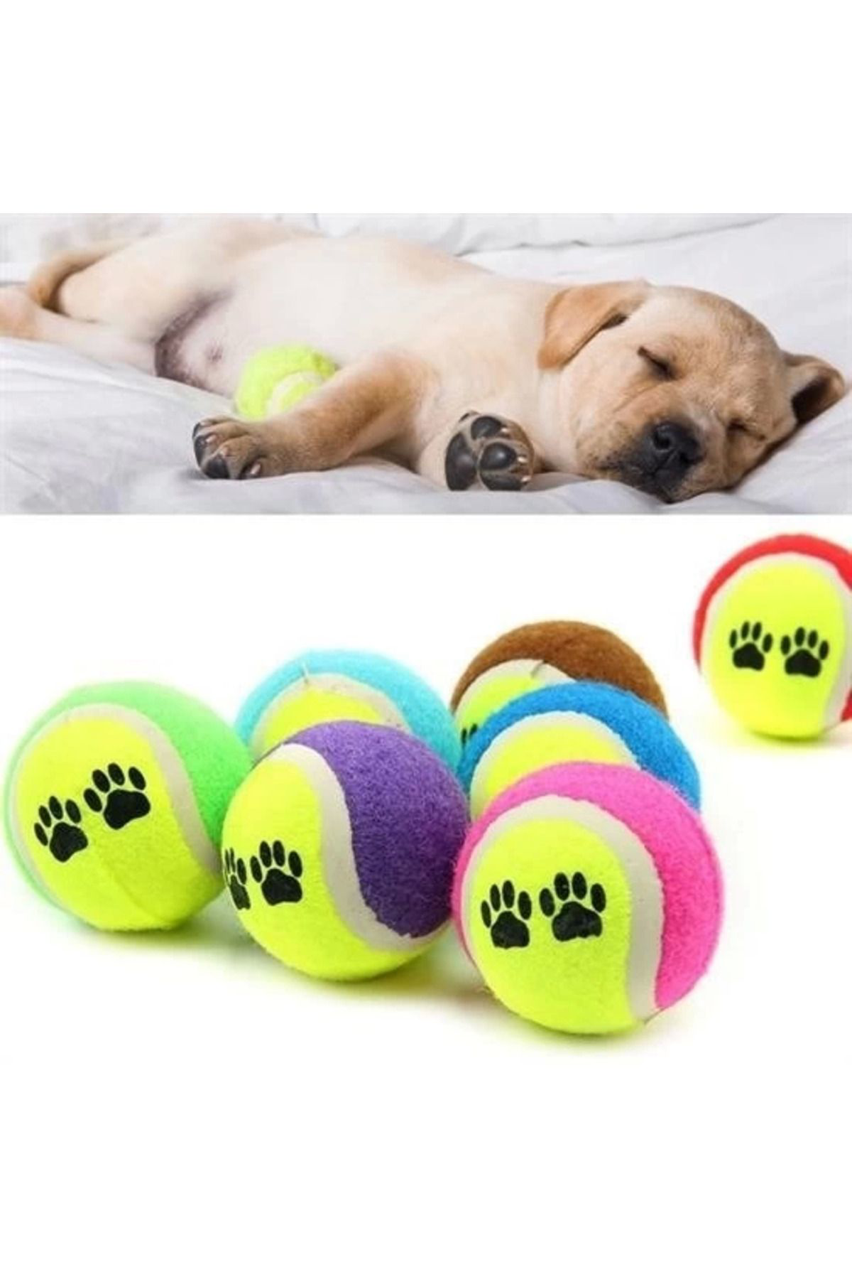 Yusuftex 3Lü Renkli Desenli Tenis Topu Kedi Köpek Oyuncaği