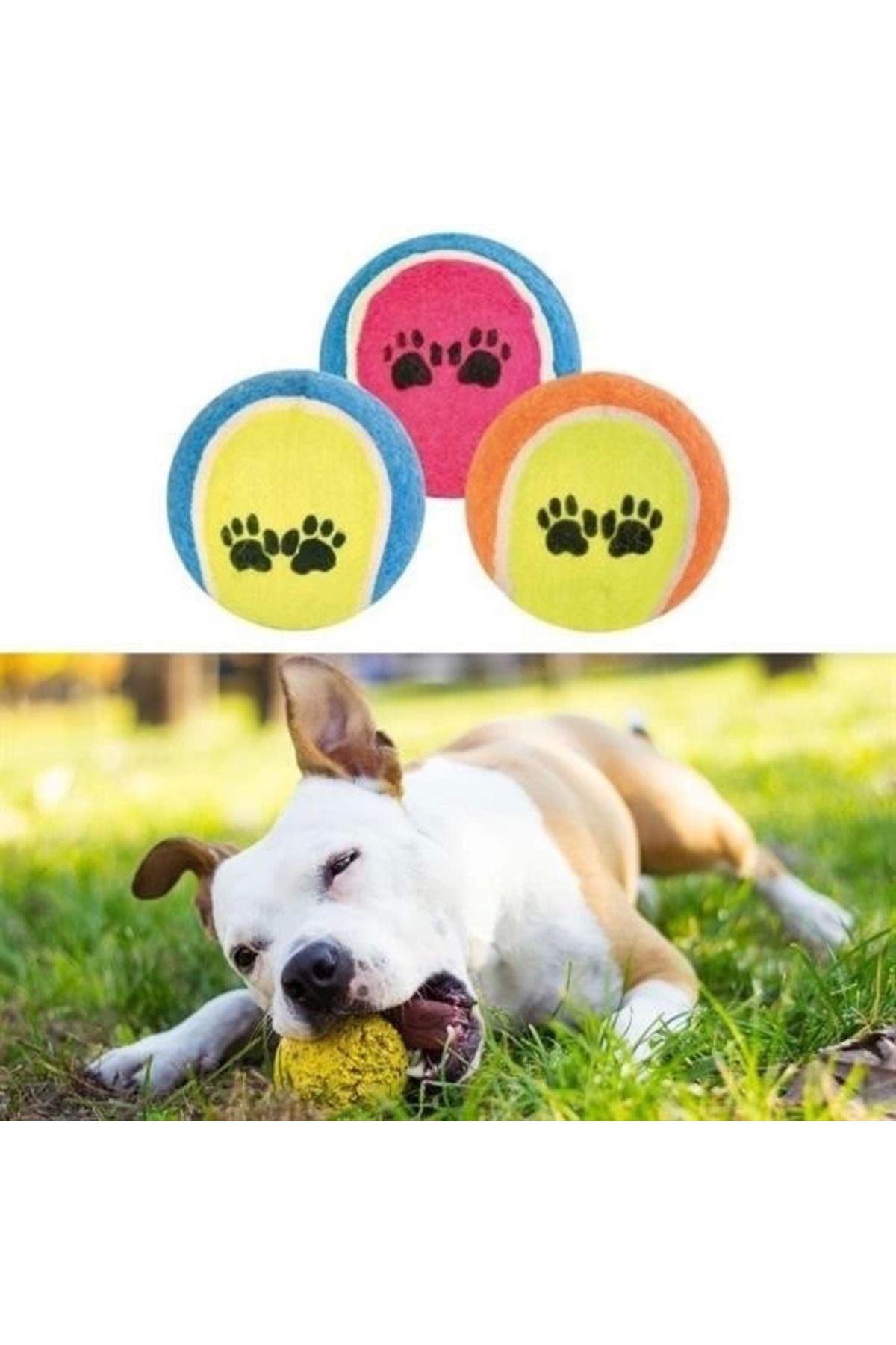 Yusuftex 3Lü Renkli Desenli Tenis Topu Kedi Köpek Oyuncaği