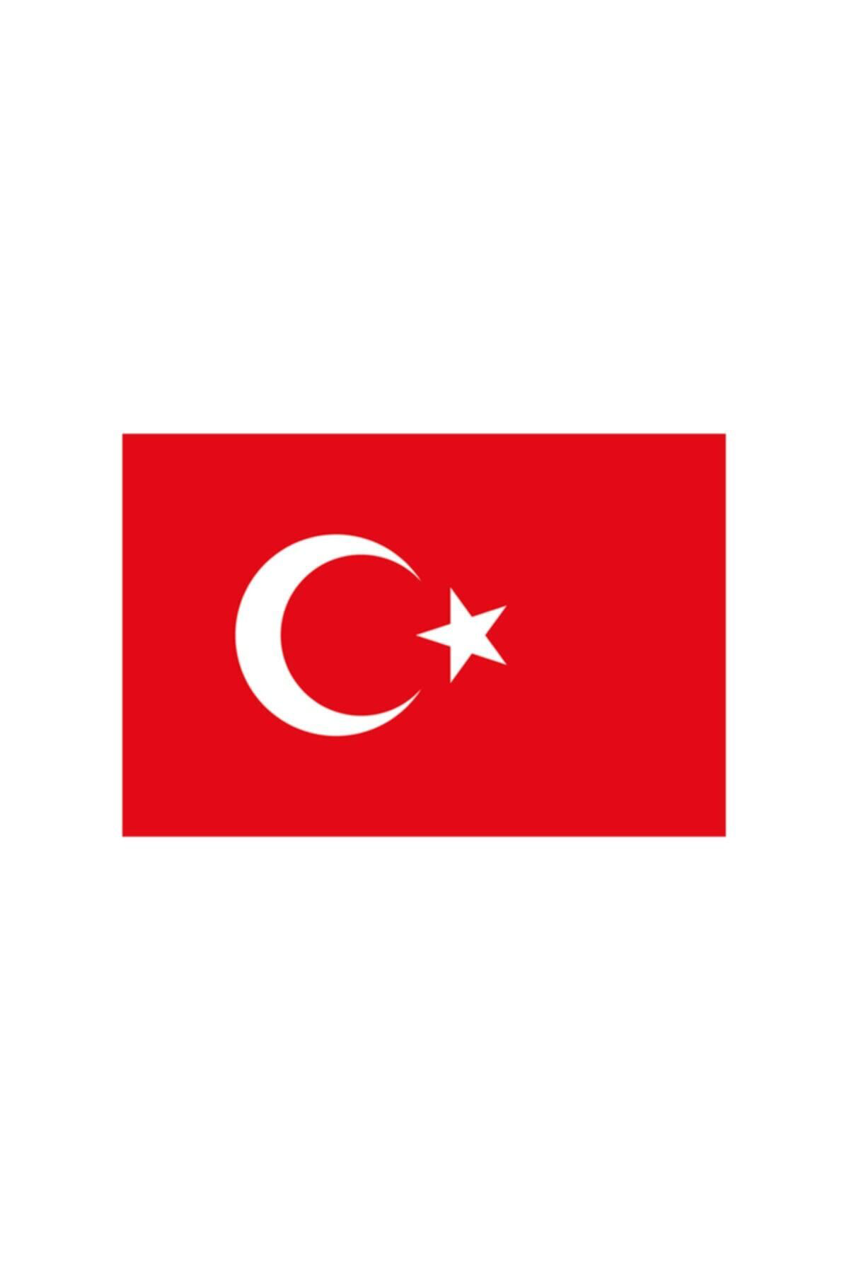 Kale Bayrak 70X105 Türk Bayraği