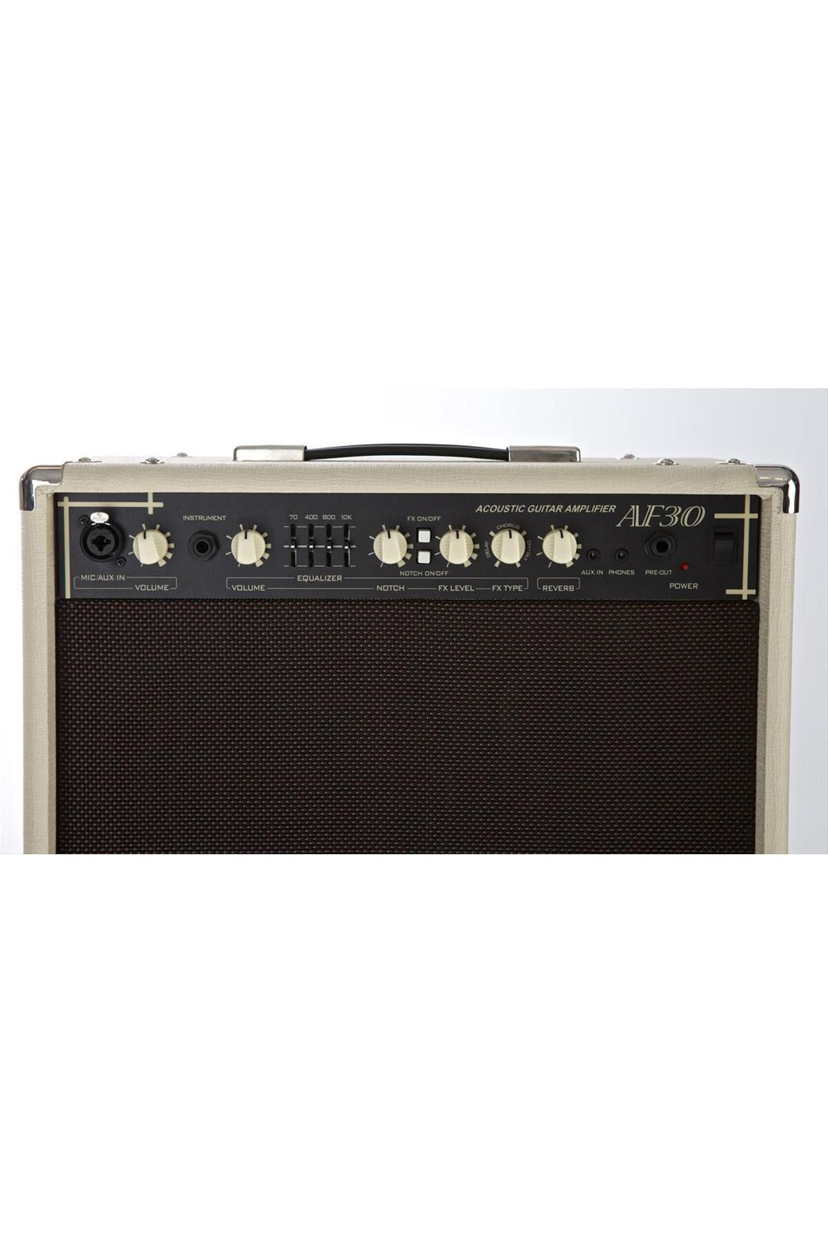 Cort Akustik Gitar (Ve Saz) Amfisi, 30W