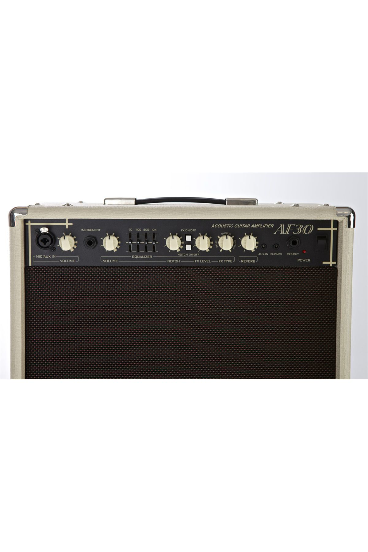 Cort Akustik Gitar (Ve Saz) Amfisi, 30W