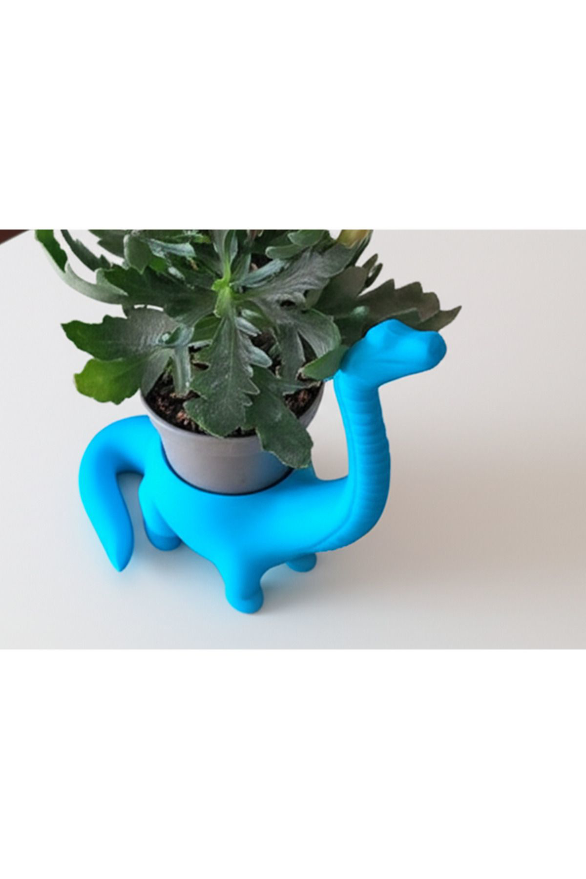 Alpaxa Almila 3D Baski Dinozor Saksi – Sukulent Ve Kaktüs İçin Dekoratif
