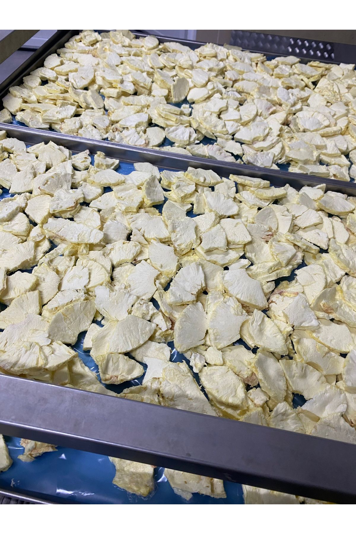 Frosse Ananas Kitiri - Freeze Dried - Üretici Firmadan Dondurularak Kuru