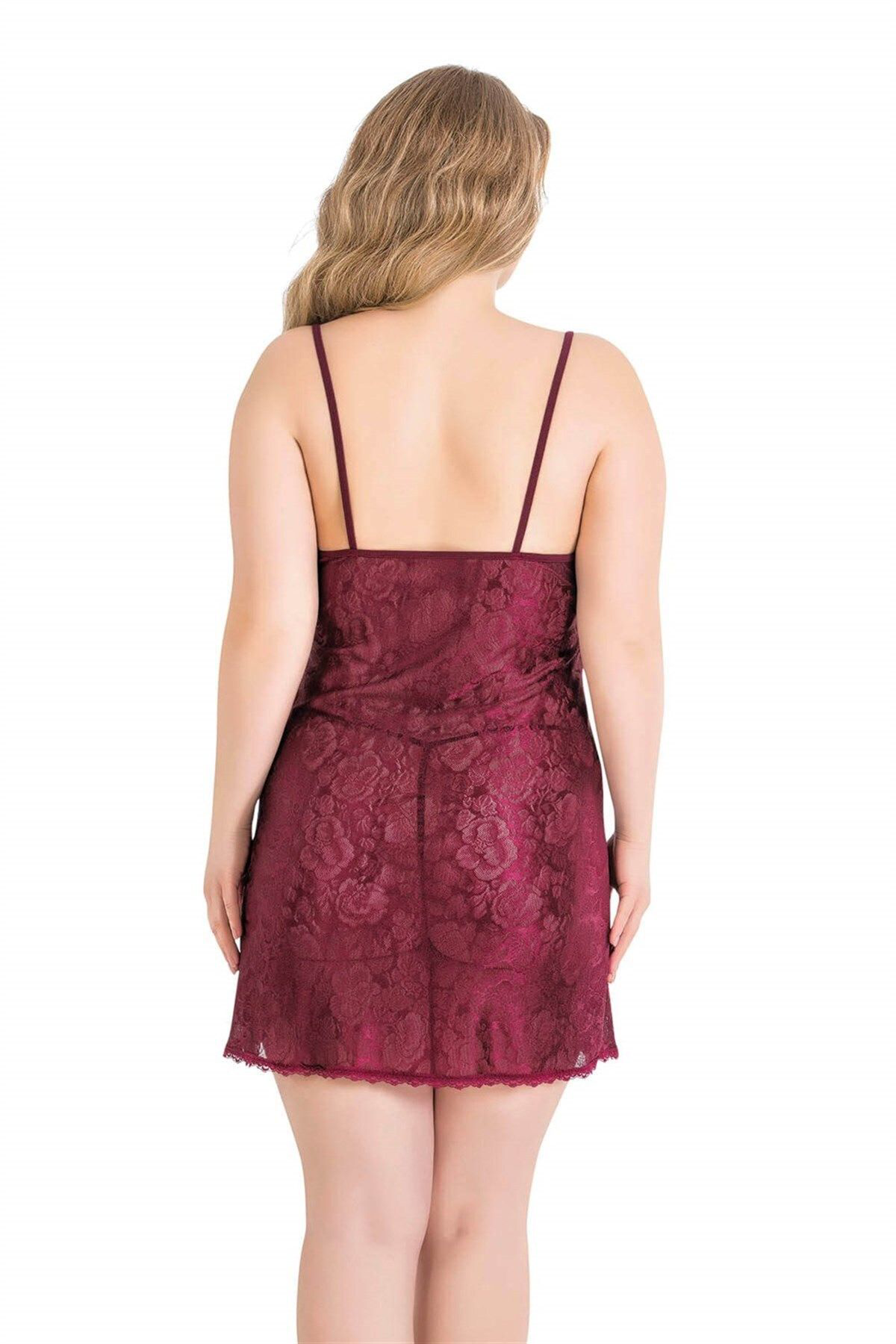 Aria's Closet  Büyük Beden Bordo Kisa Jakarli Gecelik