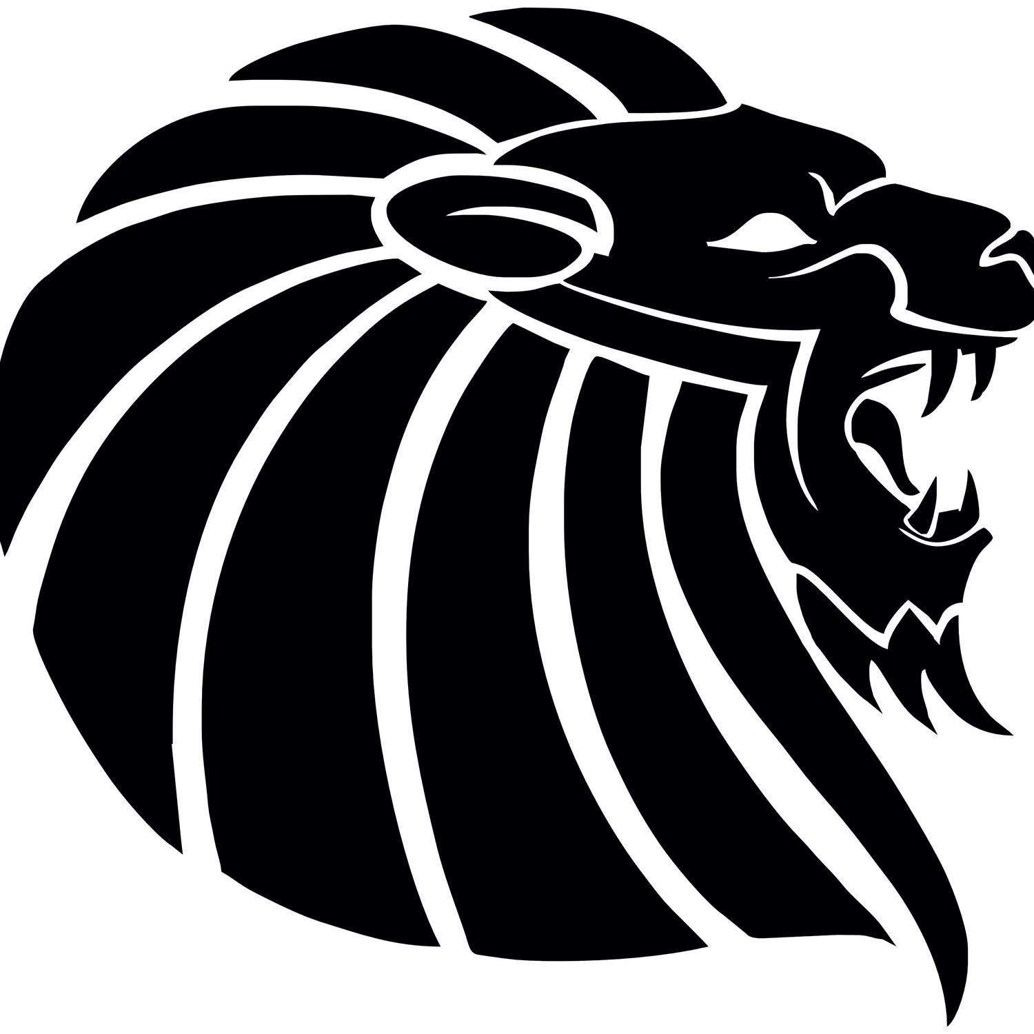 Technopa Aslan 12 Folyo Sticker
