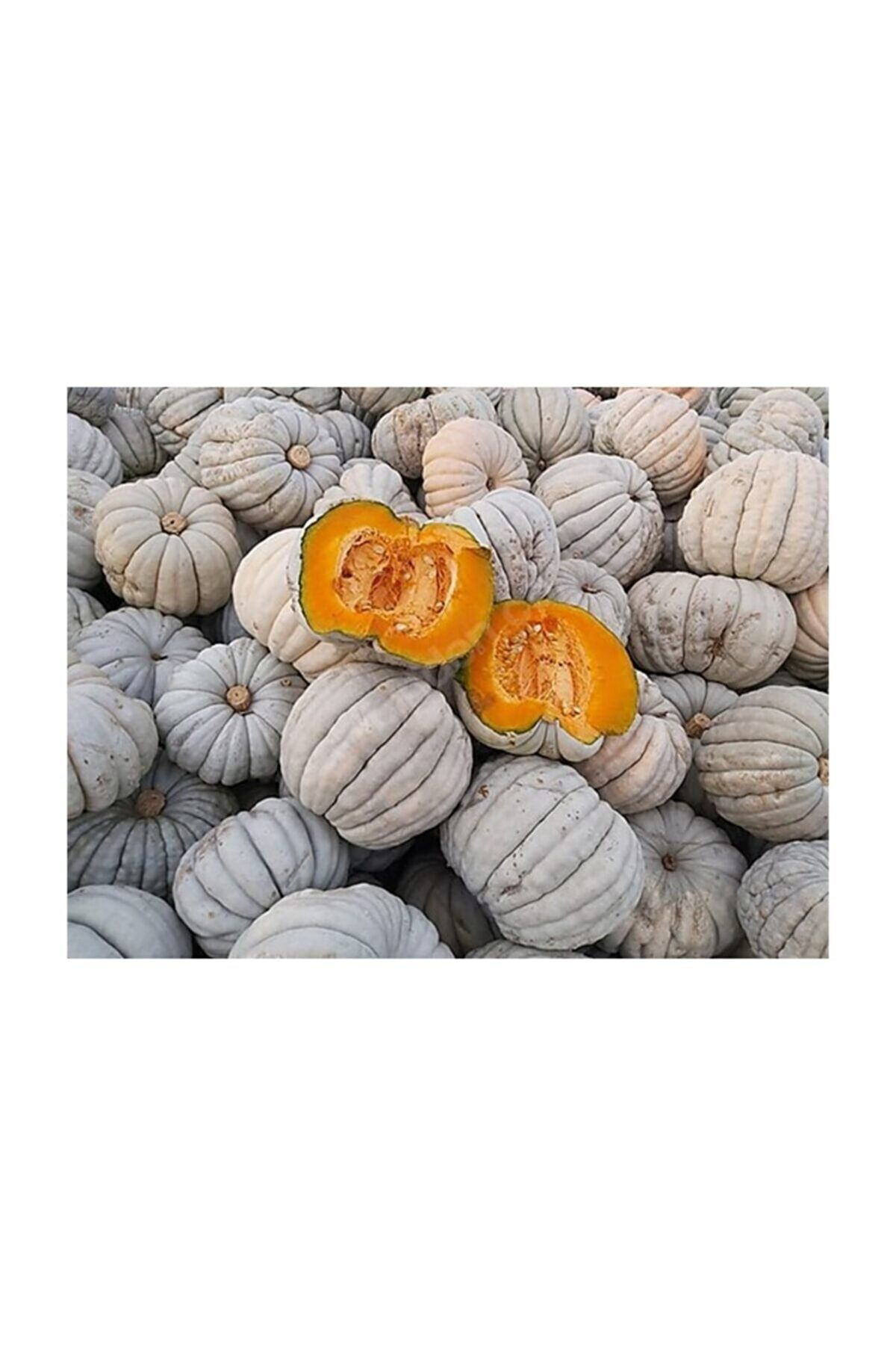 Şifagida Bal Kabak Tohumu (Kestane Kabaği) 20Ad