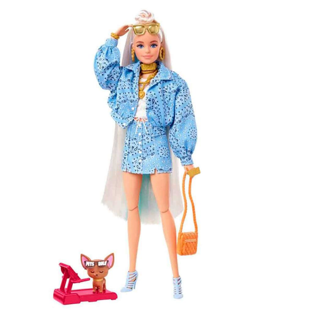 Barbie  Ekstra Bebek Ve Aksesuarlari Hhn08