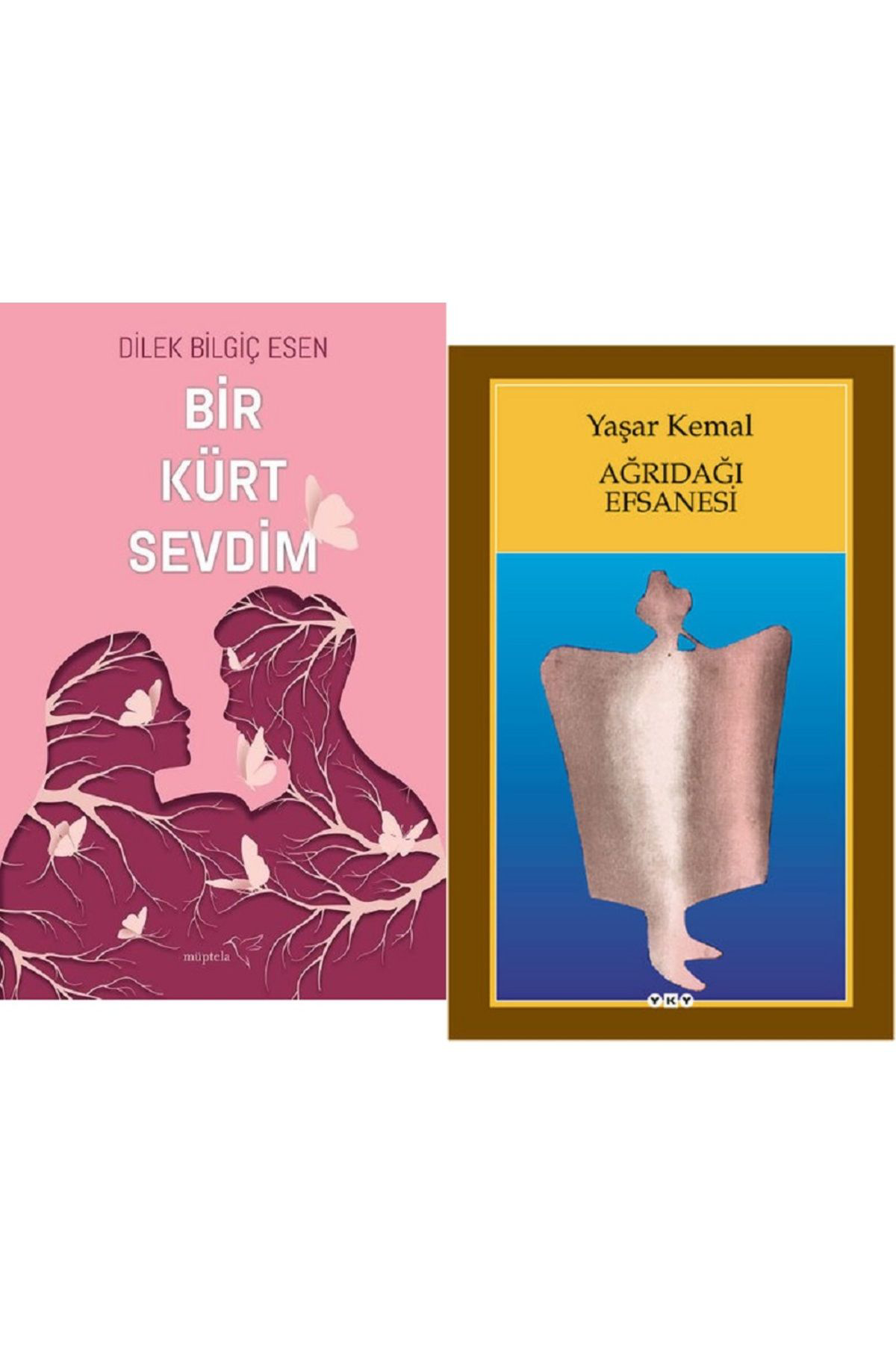 Bir Kürt Sevdim + Ağrıdağı Efsanesi / 2 Kitap Set