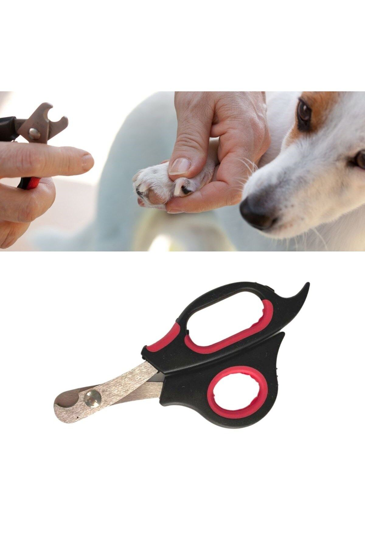 K&A Büyük Boy Evcil Hayvan Köpek Kedi Çelik Uçlu Tirnak Makasi Pati B