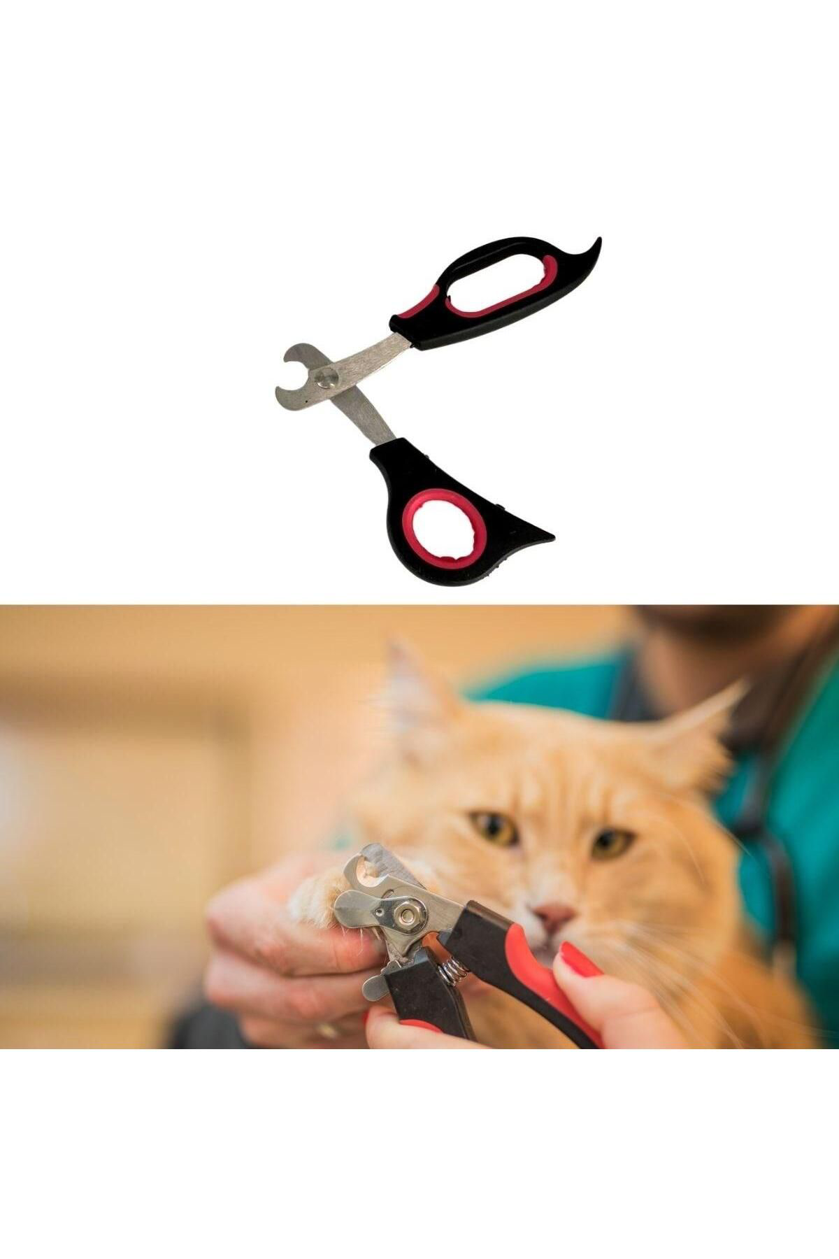 K&A Büyük Boy Evcil Hayvan Köpek Kedi Çelik Uçlu Tirnak Makasi Pati B