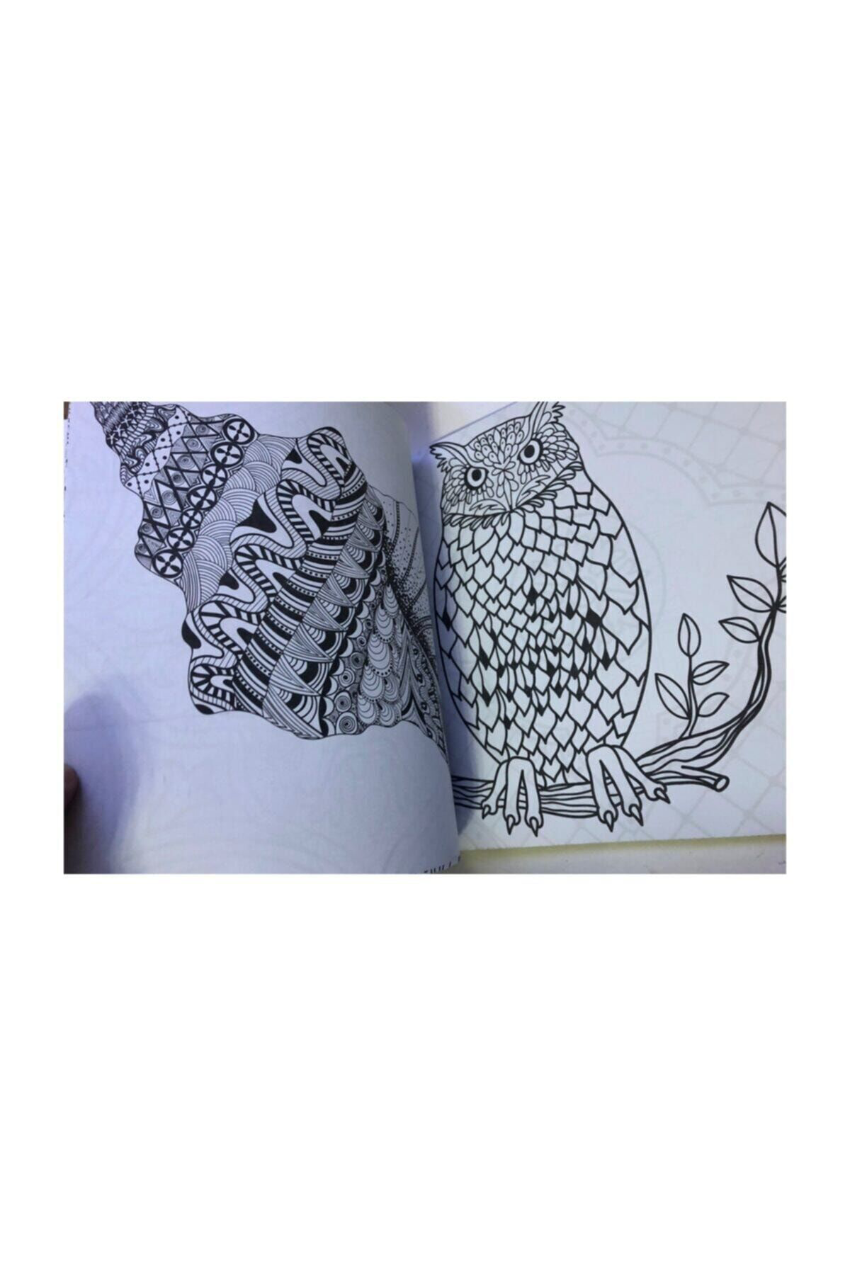 One Spray Tattoo Büyükler İçin Boyama Kitabi 4 Kitap 4 Kutu Boya Seti M.S