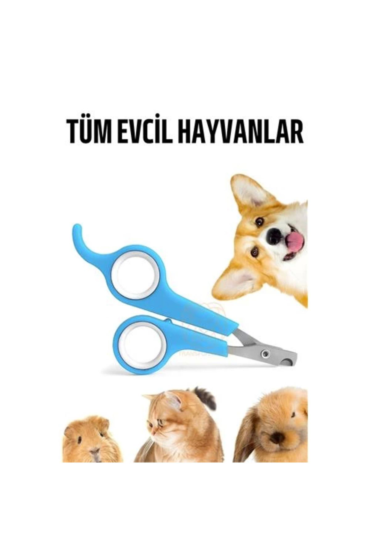 Pamiravm Bx Kedi Tirnak Makasi Evcil Hayvan Köpek Tavşan Tirnak Makasi