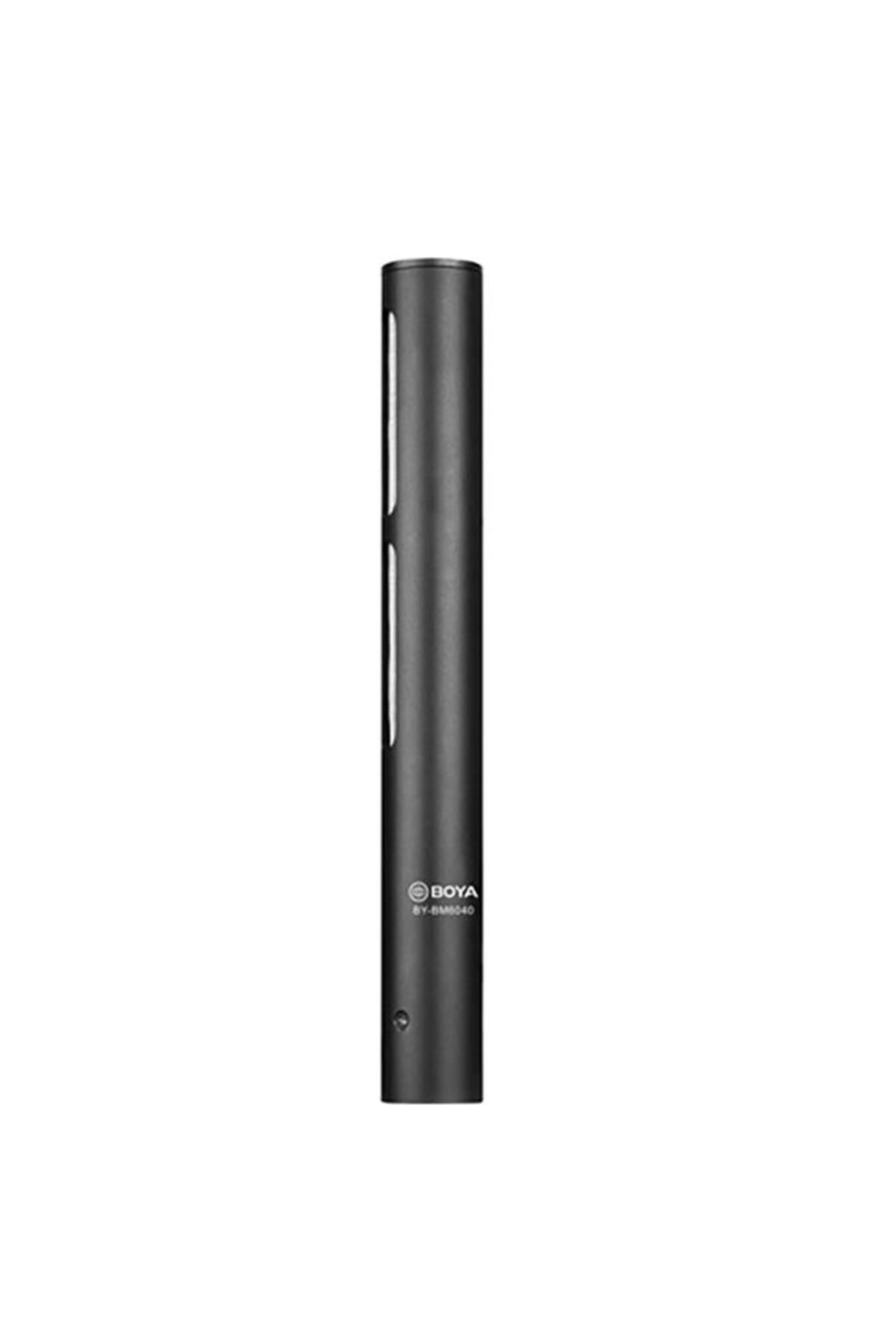 By-bm6040 Prof. Shotgun Mikrofon