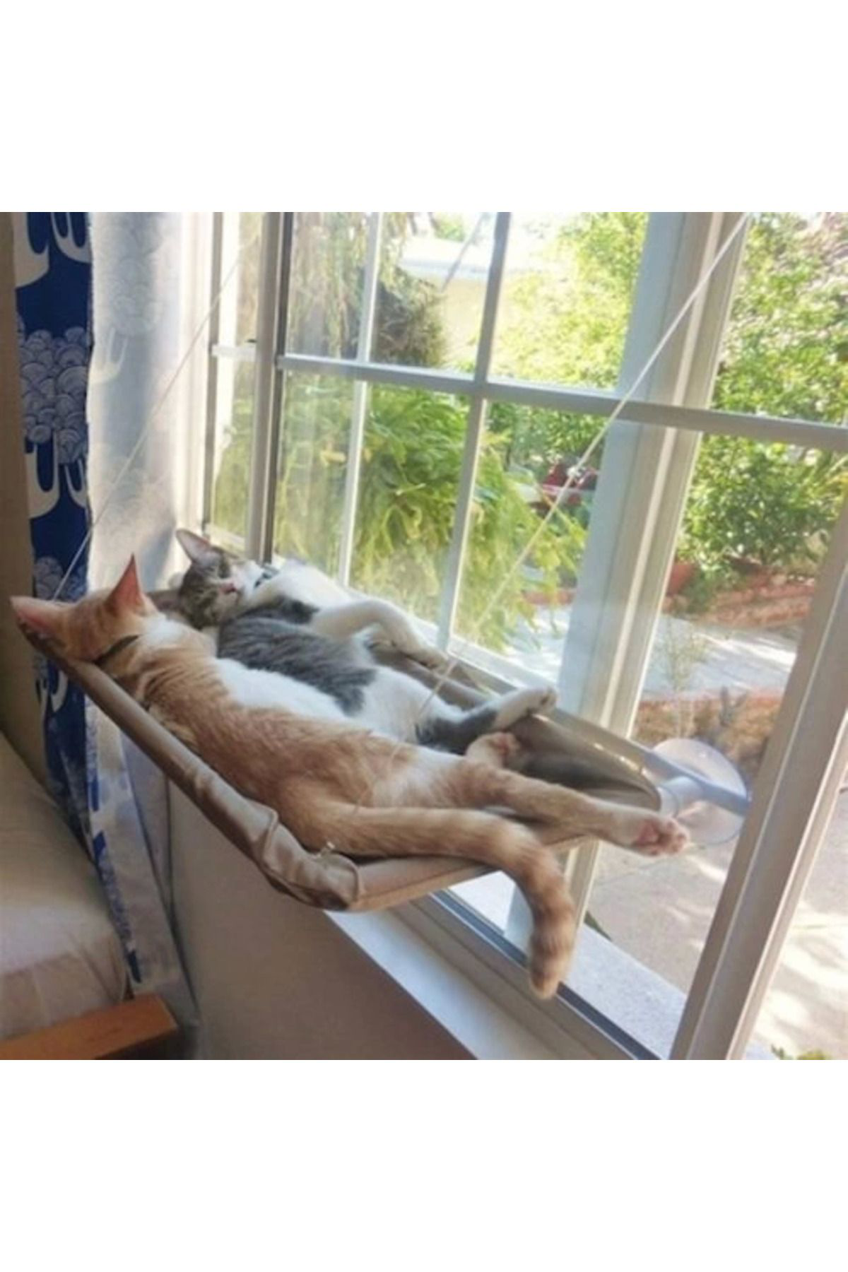 Yusuftex Cama Asilan Kedi Yataği