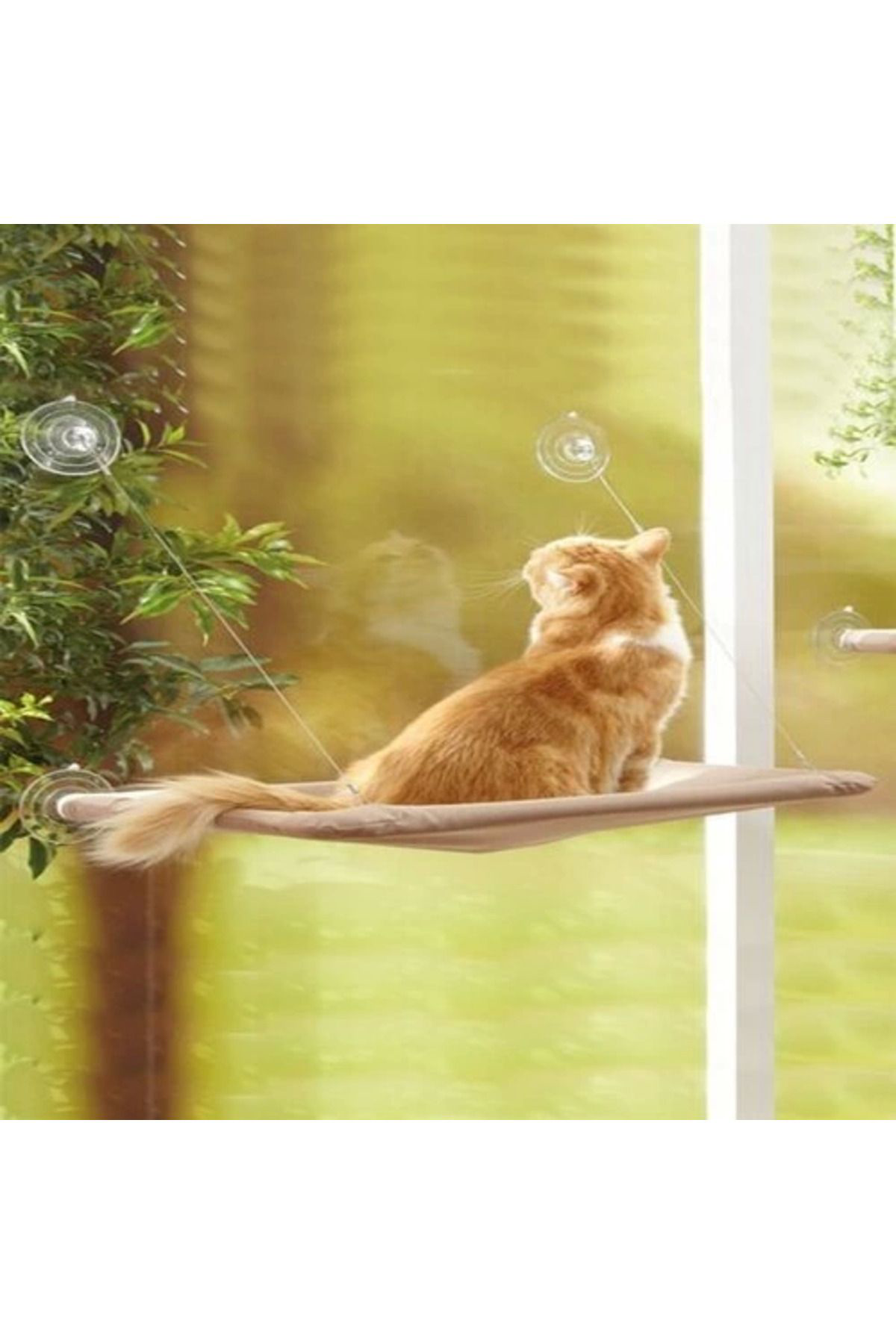Yusuftex Cama Asilan Kedi Yataği
