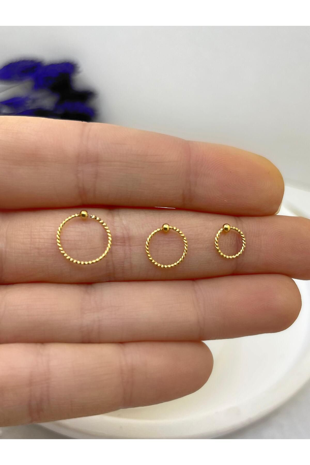 Arescollection Cerrahi Çelik 2 Adet İnce Burgulu Model Halka Piercing