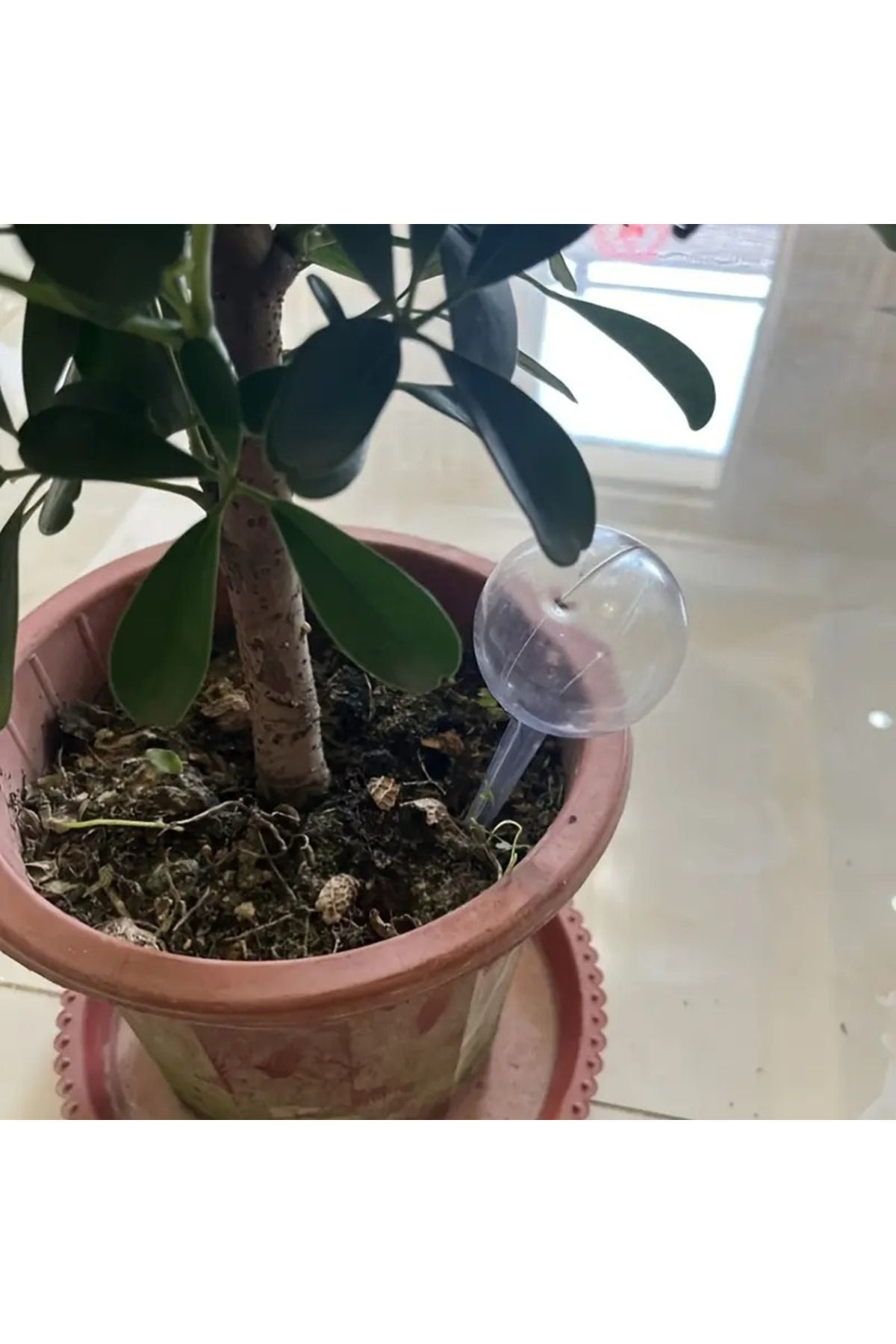 Dodemert Home Çiçek & Bitkilere Damla Sulama Hazneli Küre 2Li
