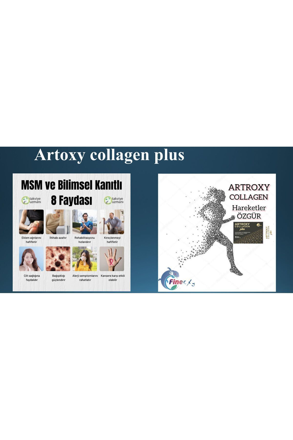 Artroxy Collagen Plus