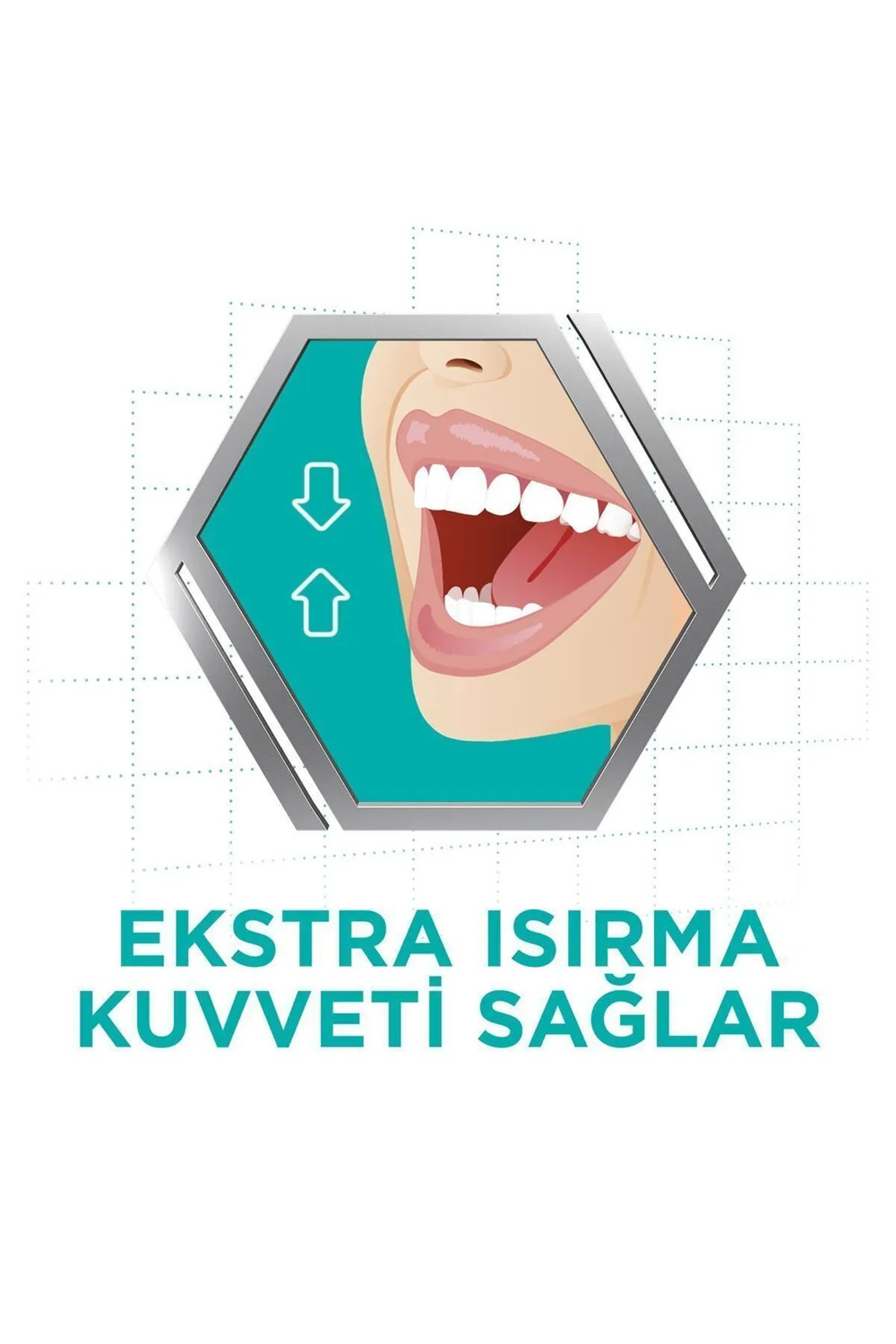 Corega  Süper Protez Yapiştirici Krem Naneli 40Gr X 5 Adet