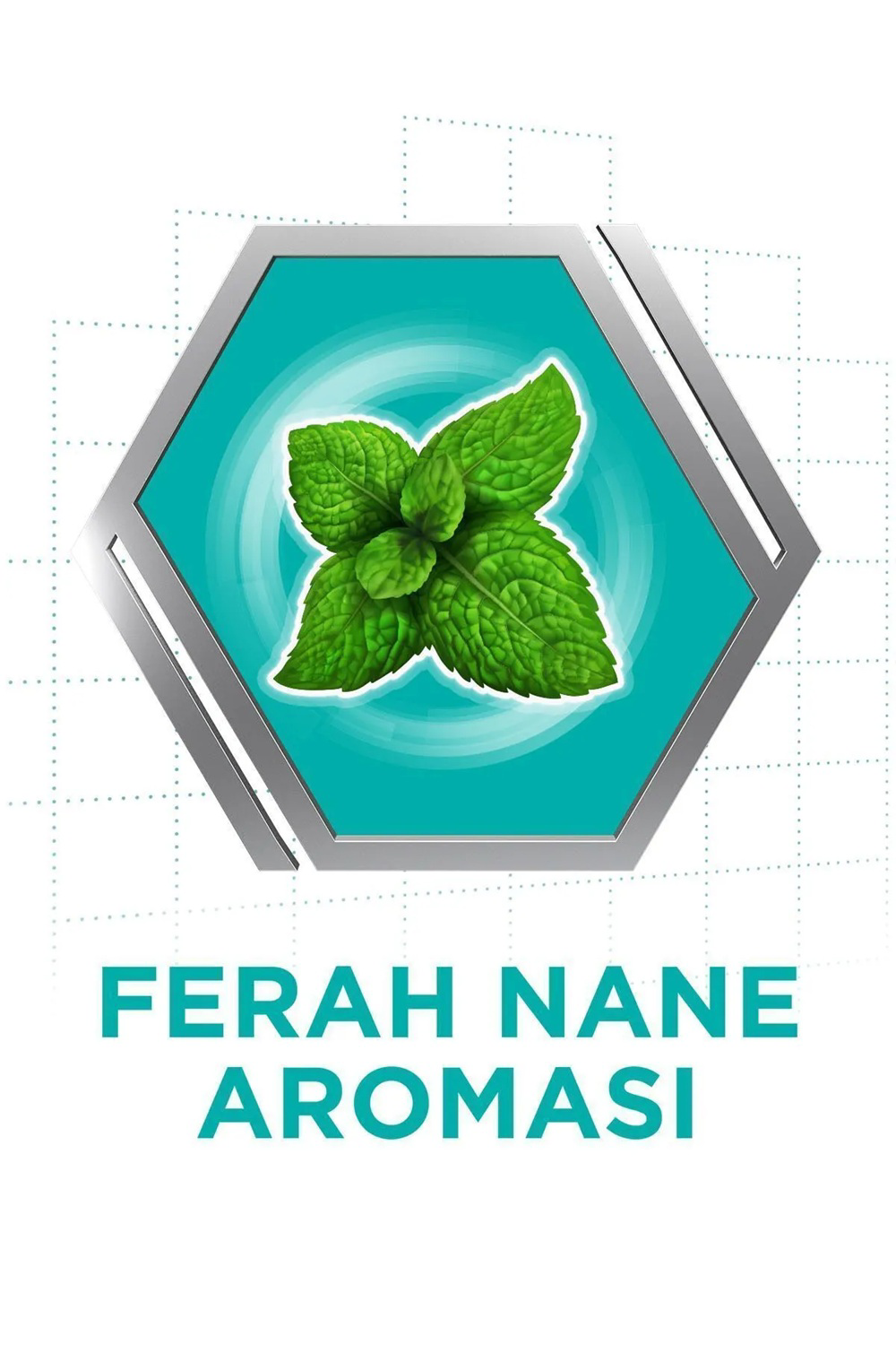 Corega  Süper Protez Yapiştirici Krem Naneli 40Gr X 5 Adet