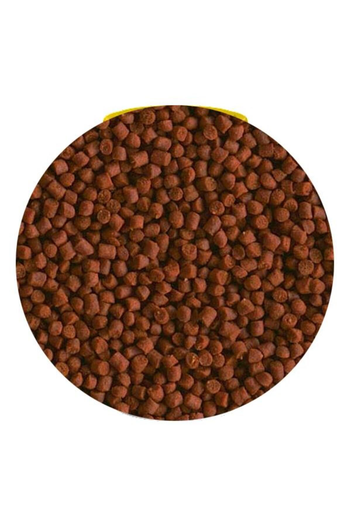 Tetra Crusta Granules Karides-Kerevit Yemi 100 Ml 48 Gr