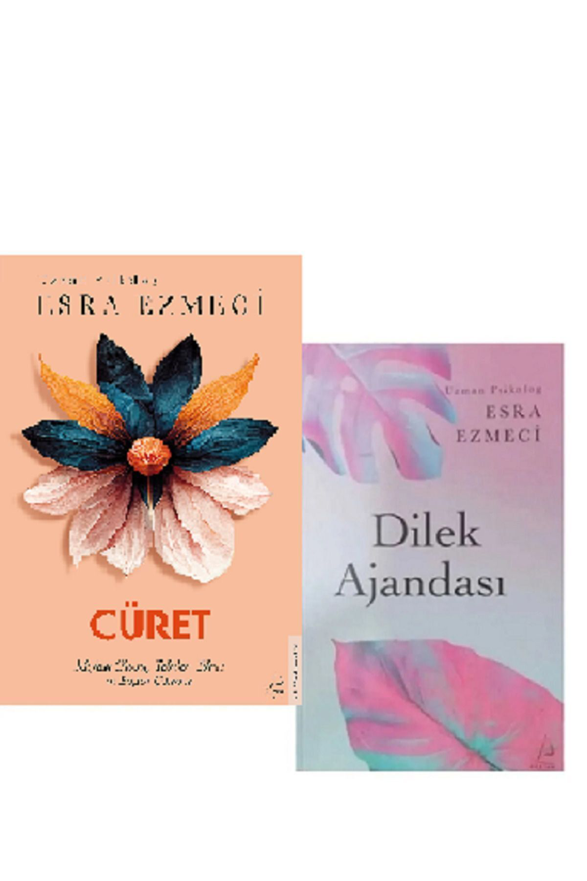 Cüret + Dilek Ajandası 2'li Set