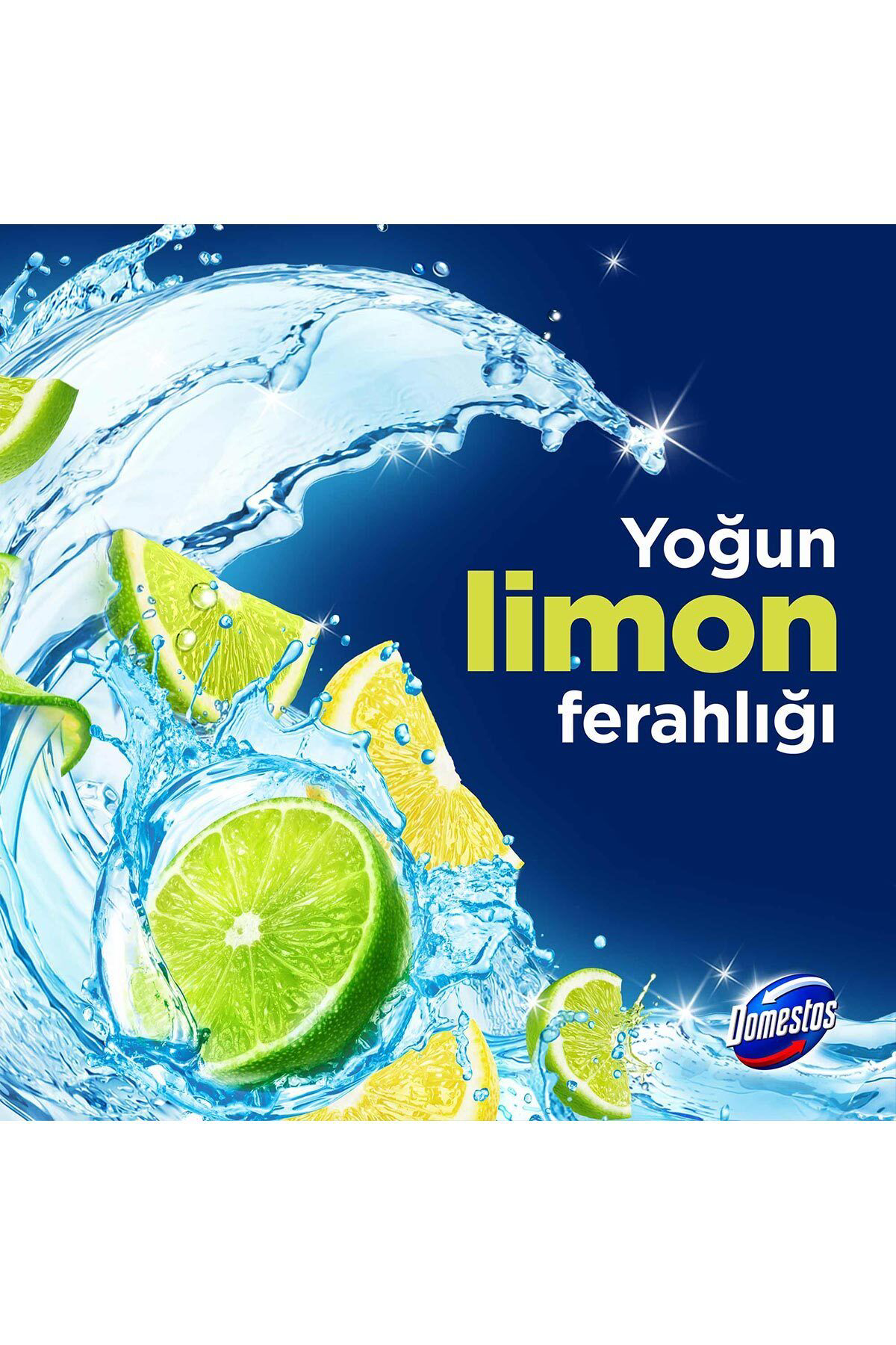 Domestos  Tuvalet Bloğu Limon Bahçesi 100 G X3