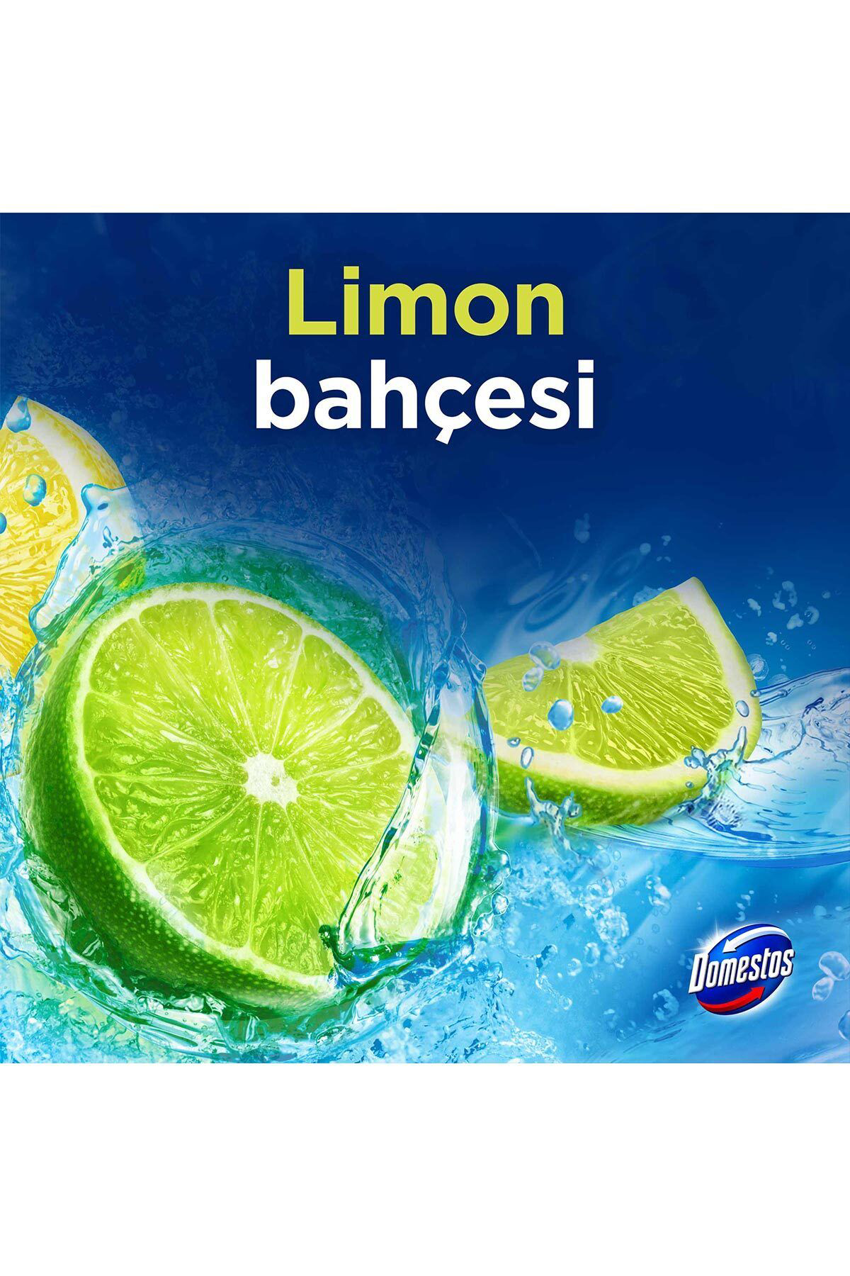 Domestos  Tuvalet Bloğu Limon Bahçesi 100 G X3