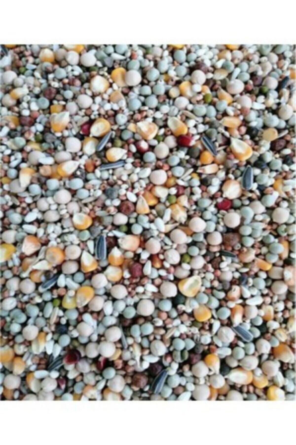 Tippler Dört Mevsim Güvercin Yemi 3 Kg