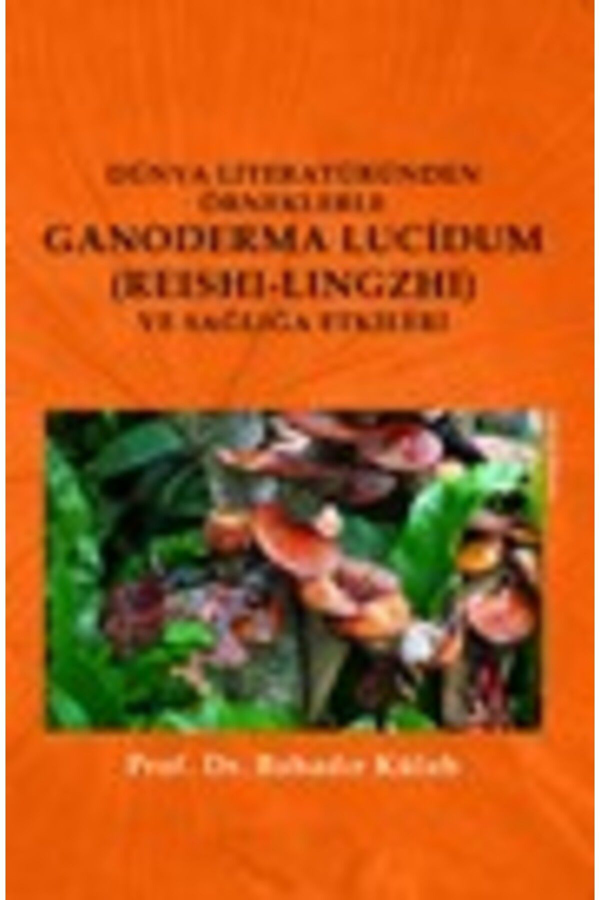 Olasilik Yayinlari Dünya Literatüründen Örneklerle Ganoderma Lucidum Reshilingzhi Ve