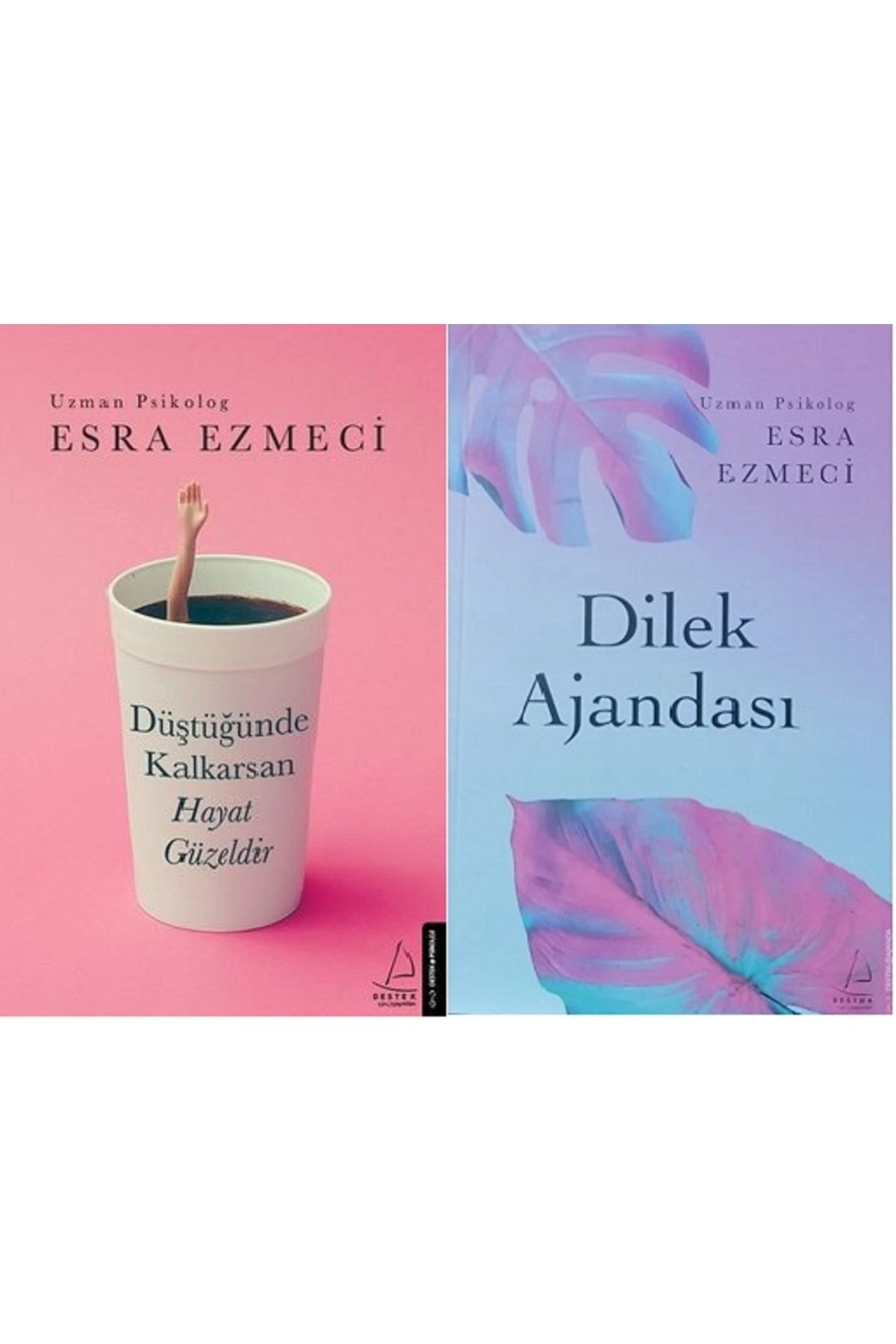 Düştüğünde Kalkarsan Hayat Güzeldir + Dilek Ajandası Set