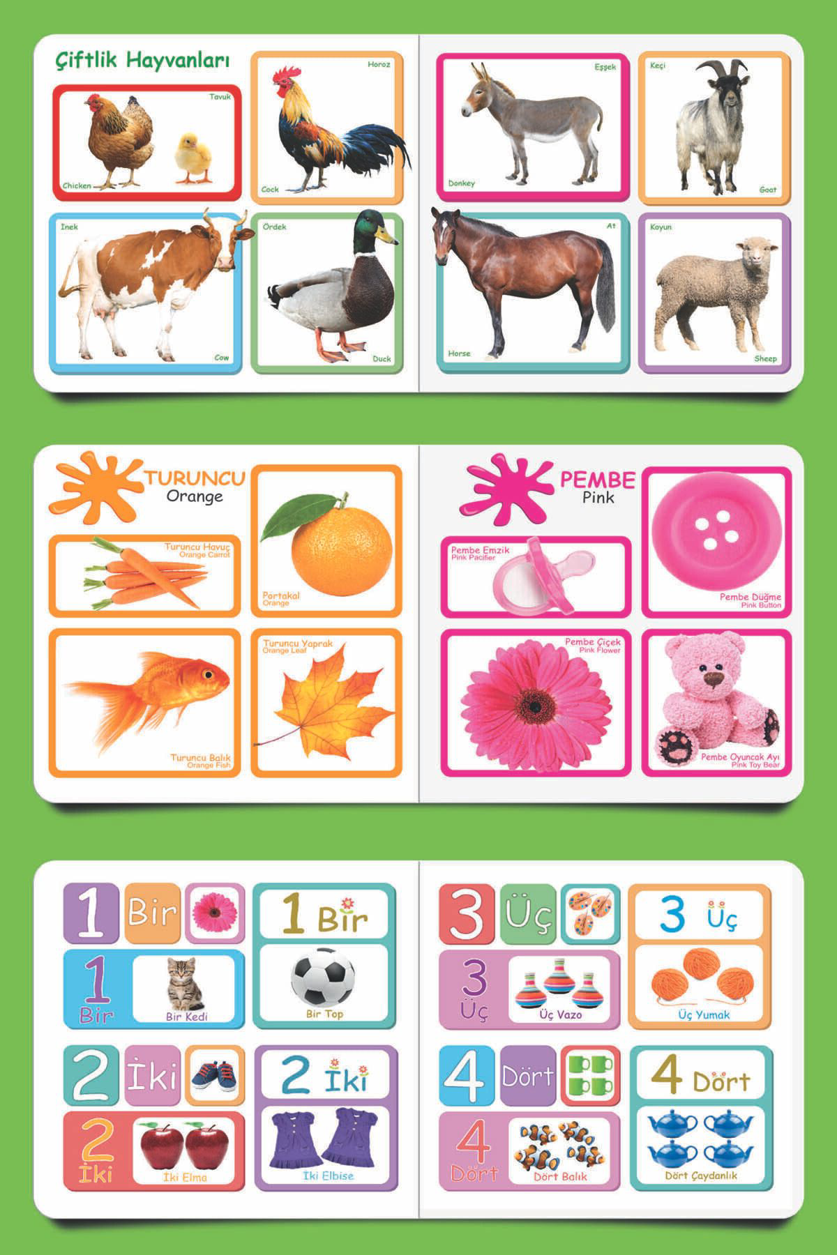 Diytoy Eğitici İlk Kitaplarim Serisi Set 6 Adet