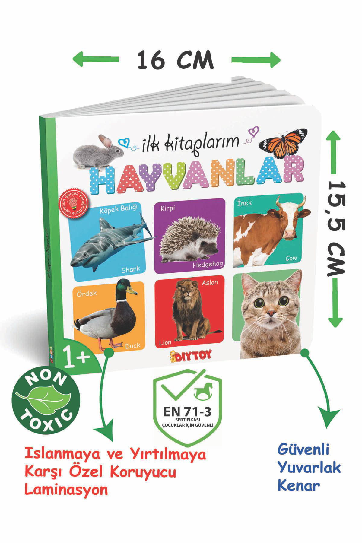 Diytoy Eğitici İlk Kitaplarim Serisi Set 6 Adet