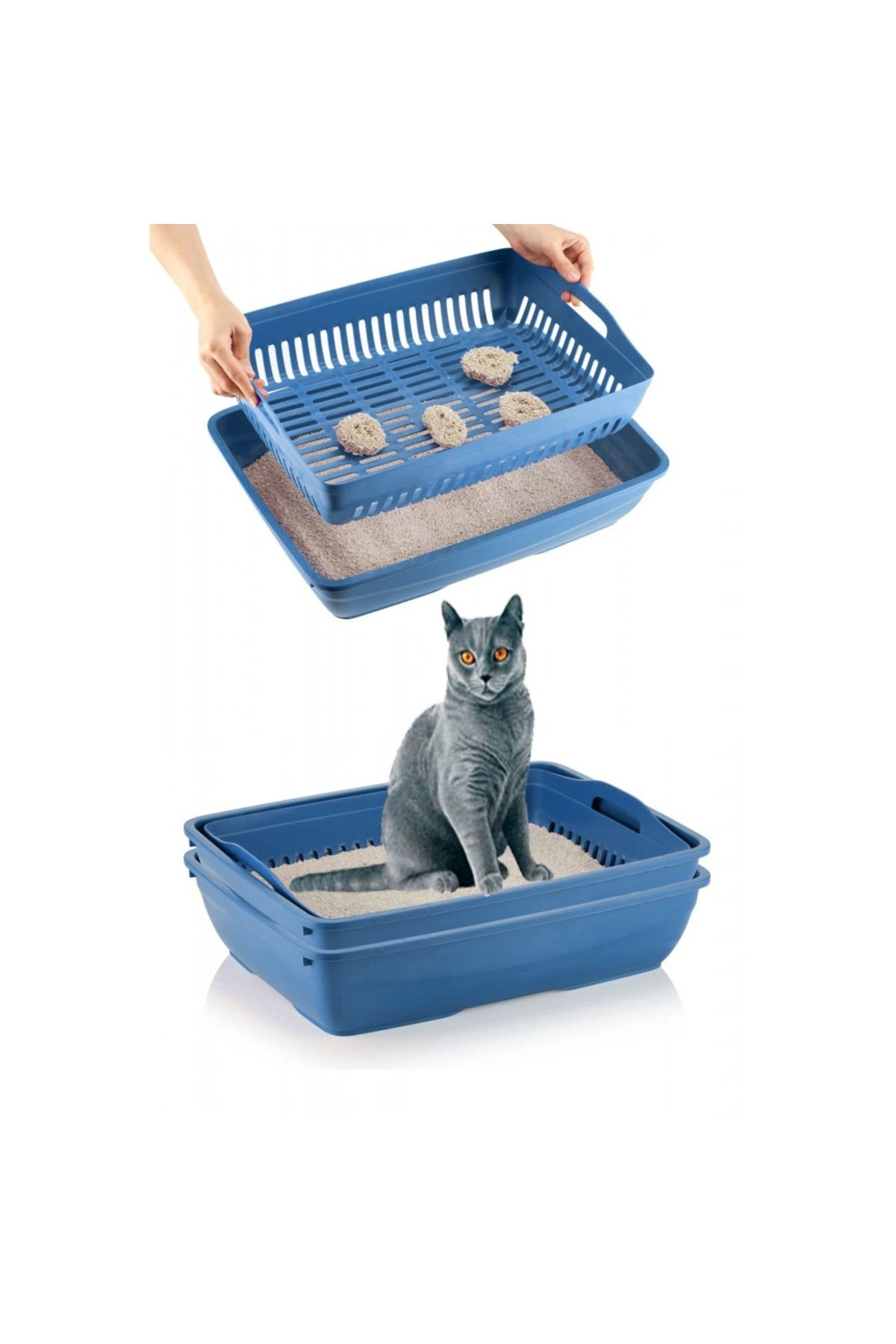 Cexos Elekli Kedi Tuvaleti Mavi - Cbt9384-3491