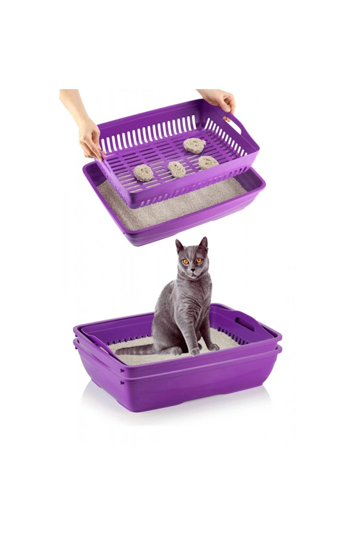 Cexos Elekli Kedi Tuvaleti Mor - Cbt9912-2112