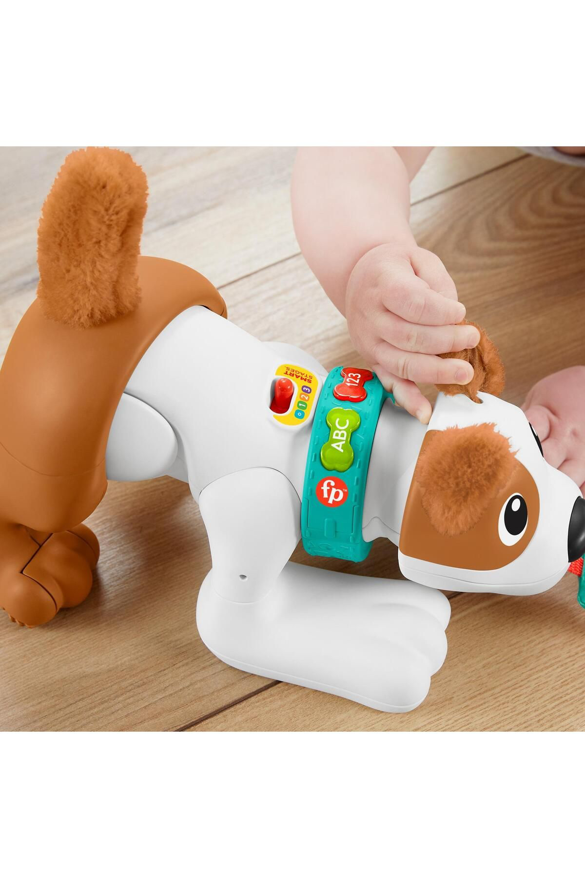 Fisher Price Emeklemeyi Ve Saymayi Öğreten Köpekçik Canda