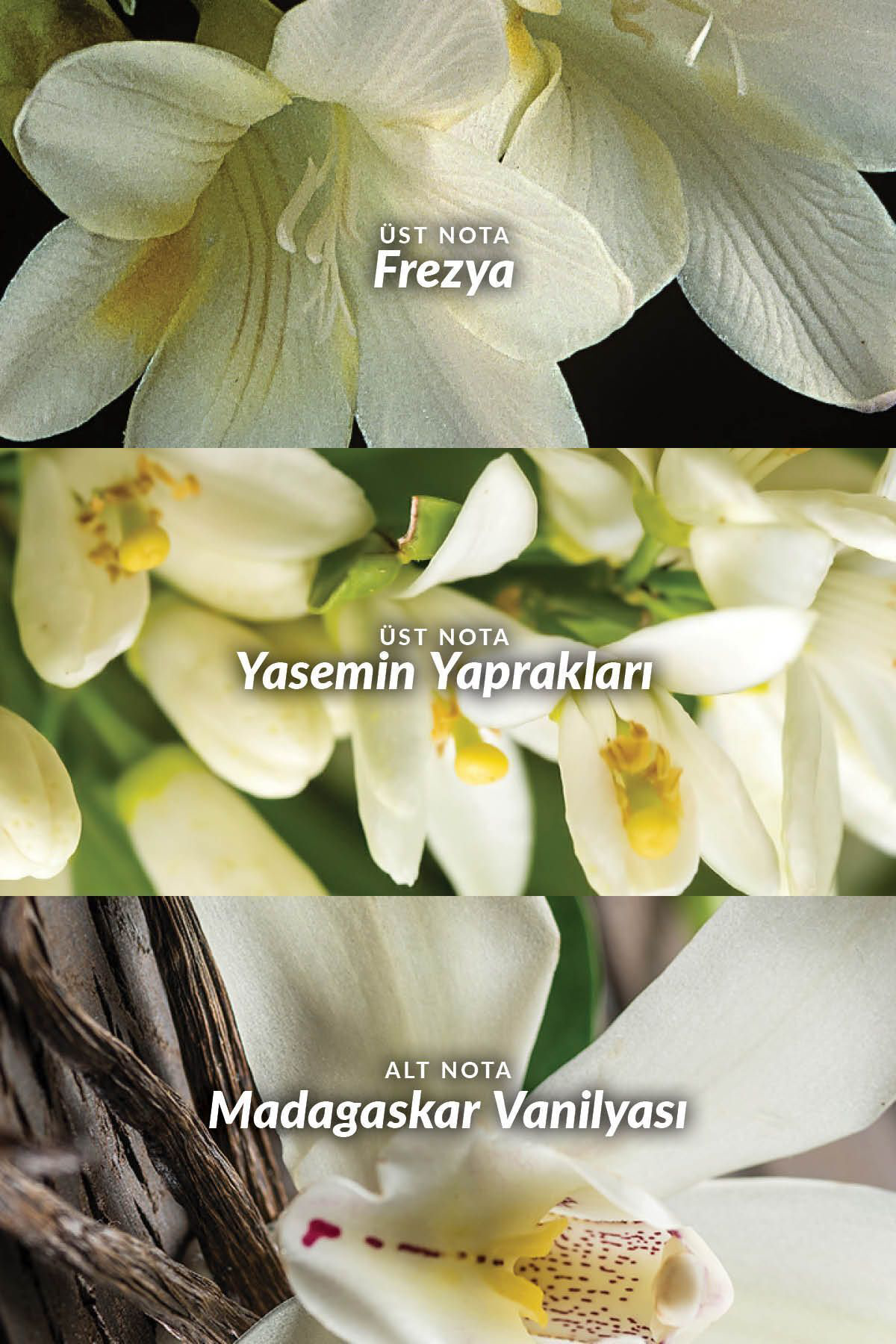 Avon Far Away Kadin Parfüm Edp 50 Ml. Üçlü Set