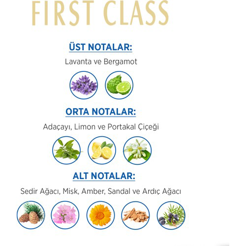 First Class Erkek Parfüm Edt 100 Ml.