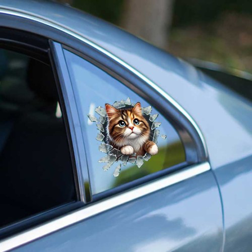 Just Cheap Store Fulcar Stray Araç Stickeri