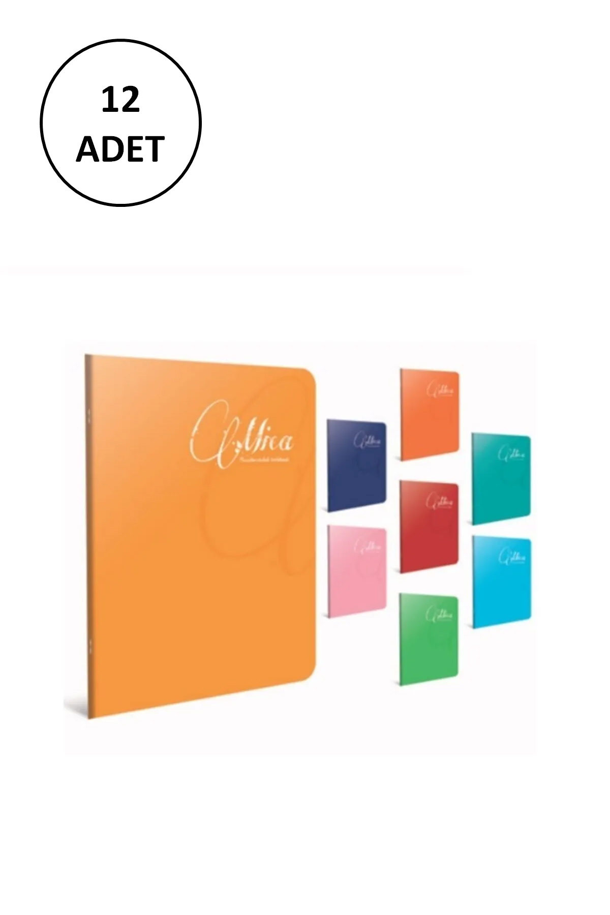 Just Cheap Store Gipta Mica A4 Tel Dikişli Pp Kapak Defter 80 Yaprak Kareli (12 Li